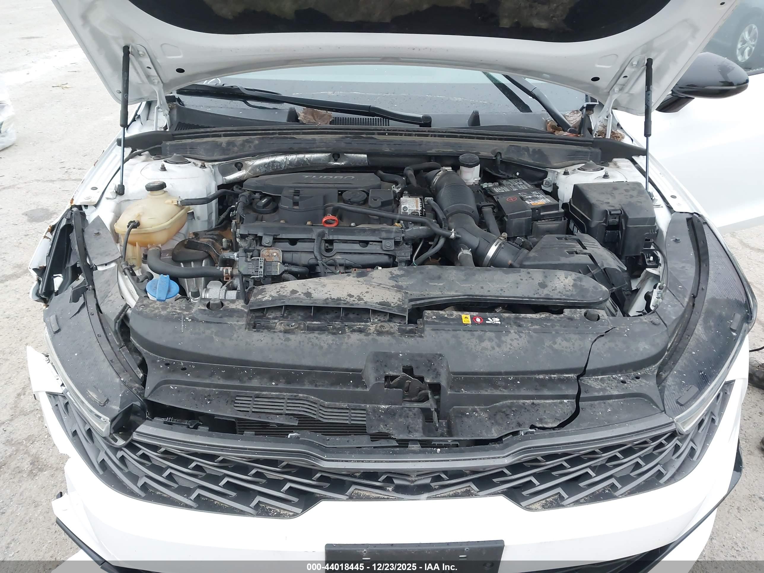 KIA K5 image 10