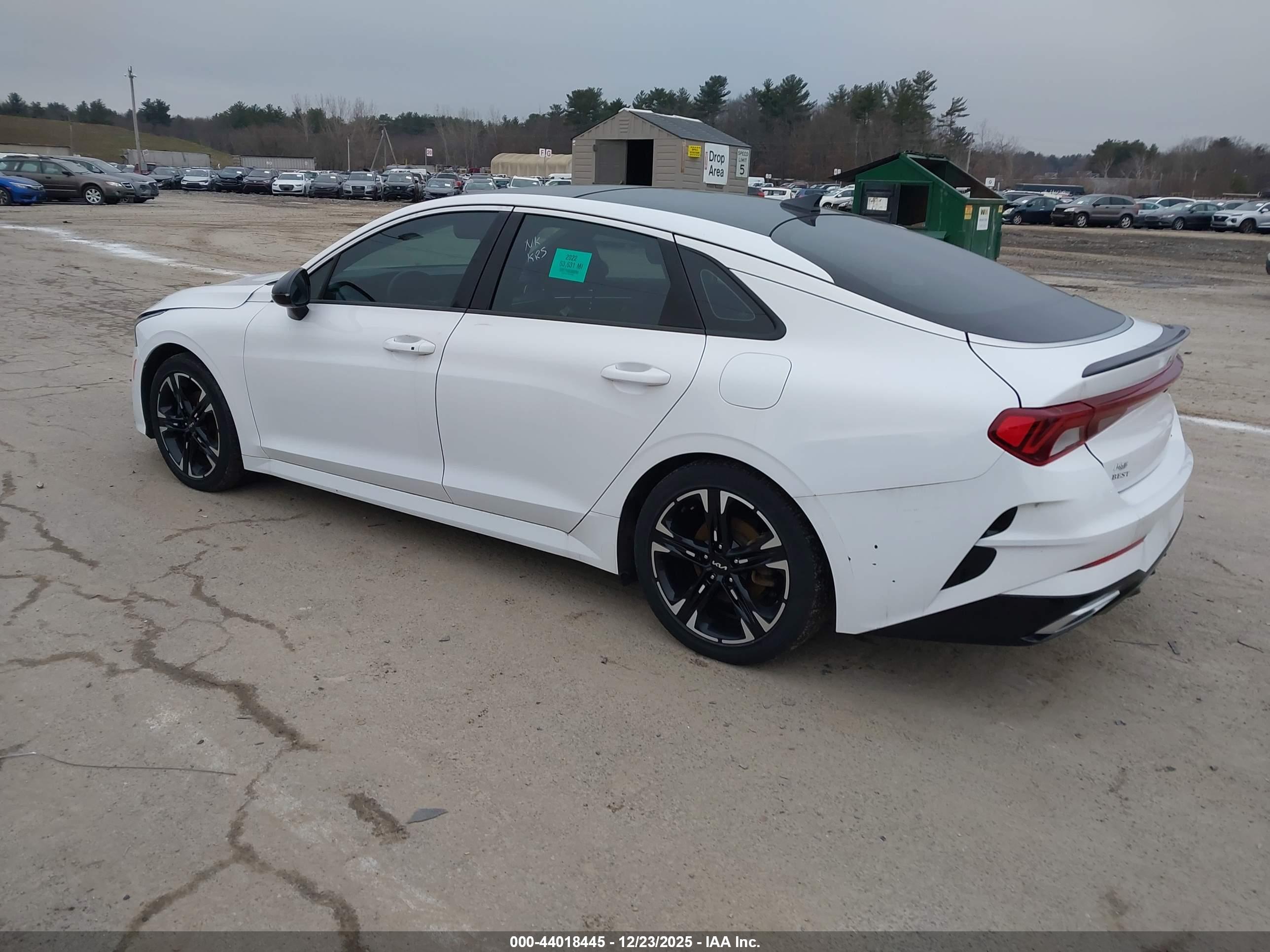 KIA K5 image 3