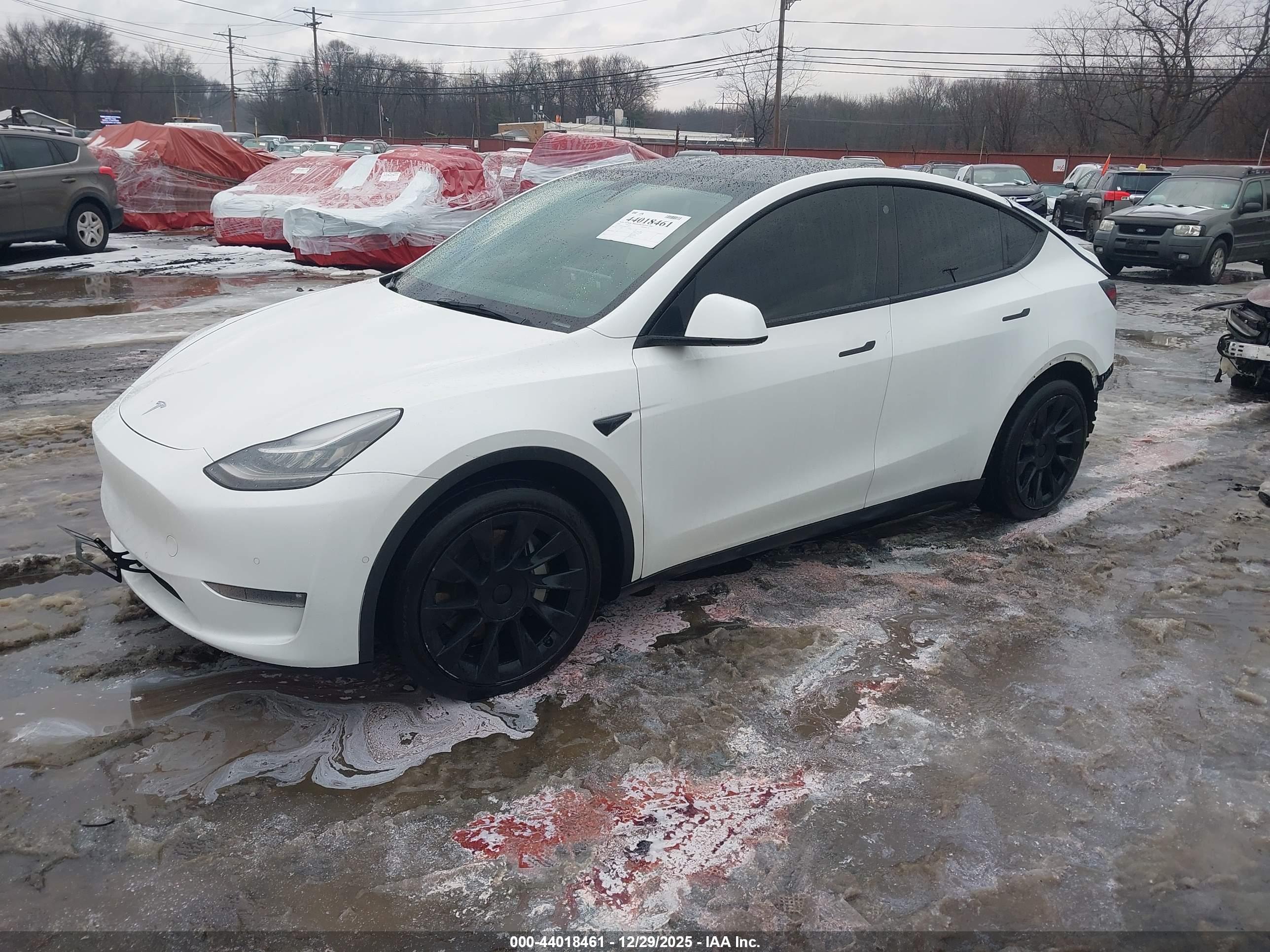 TESLA MODEL image 2