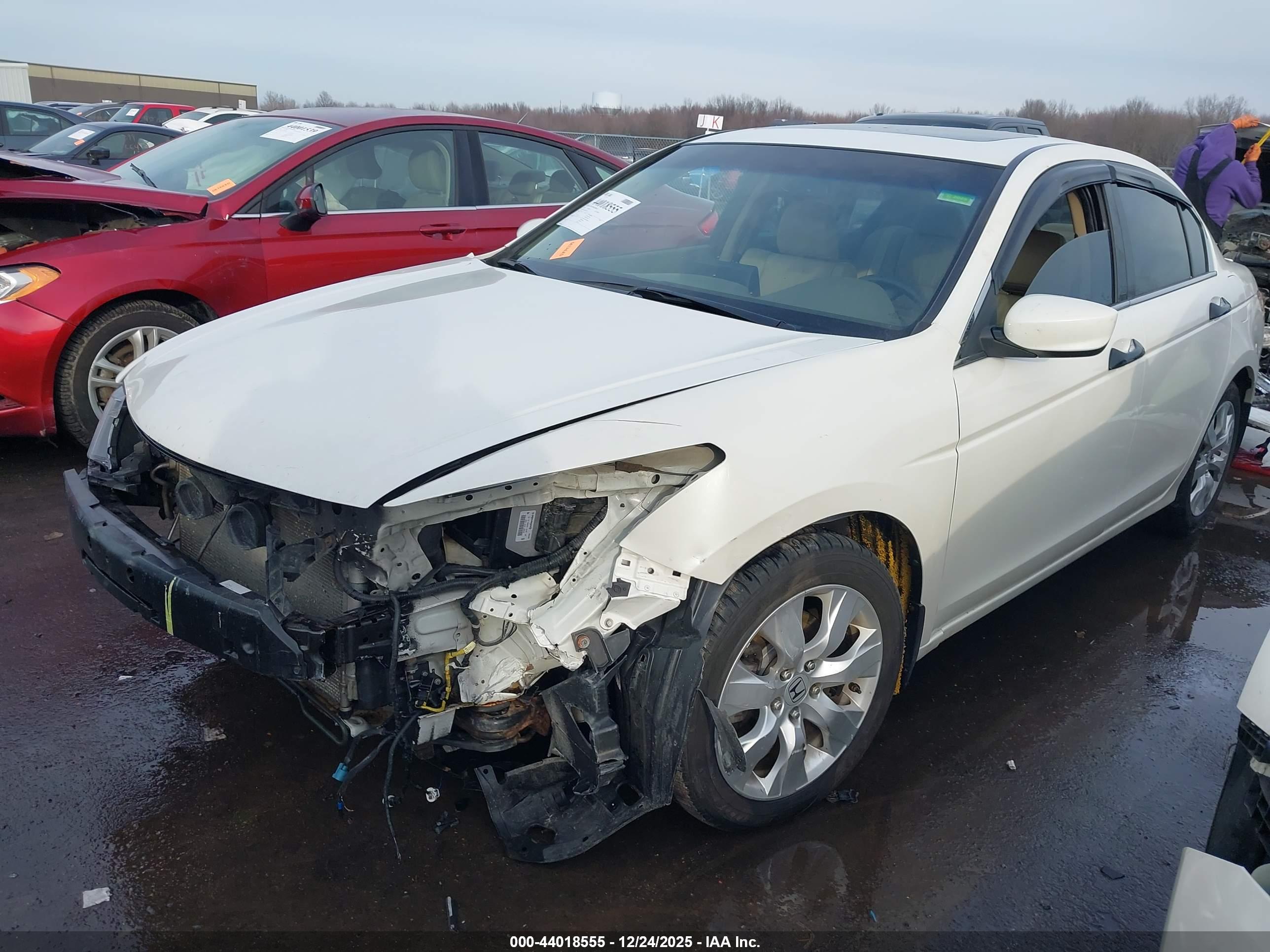 HONDA ACCORD image 2