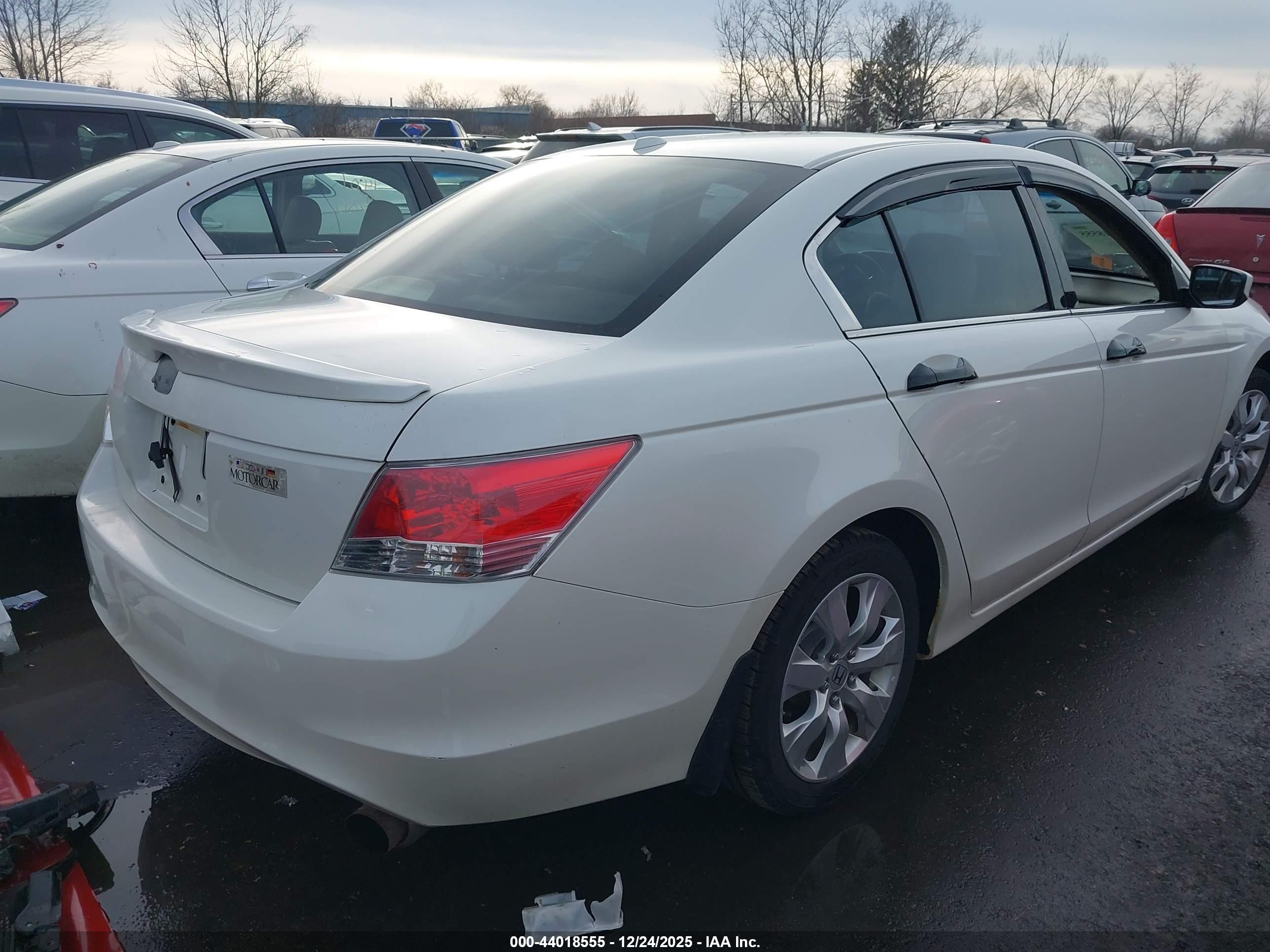 HONDA ACCORD image 4