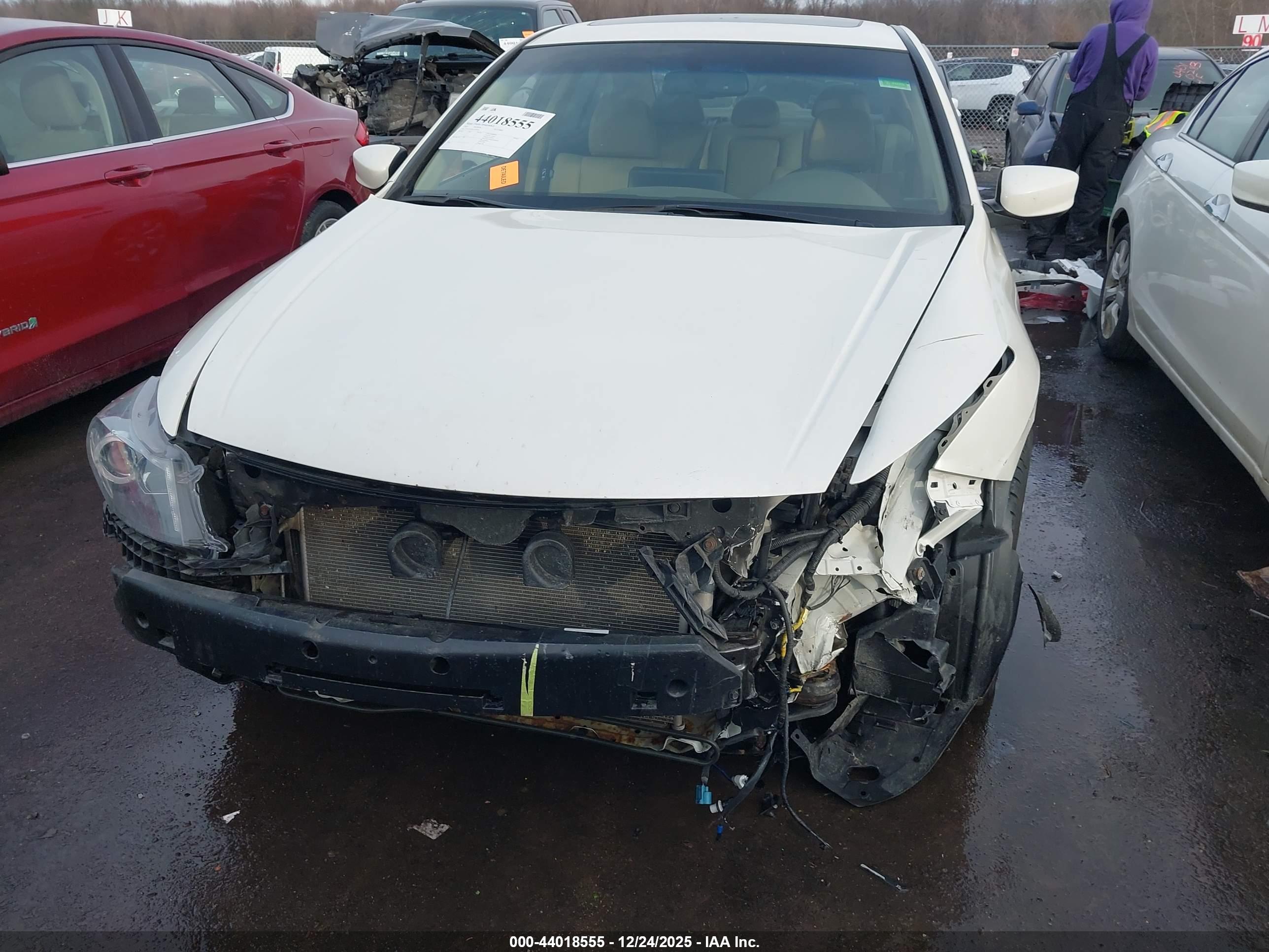 HONDA ACCORD image 6
