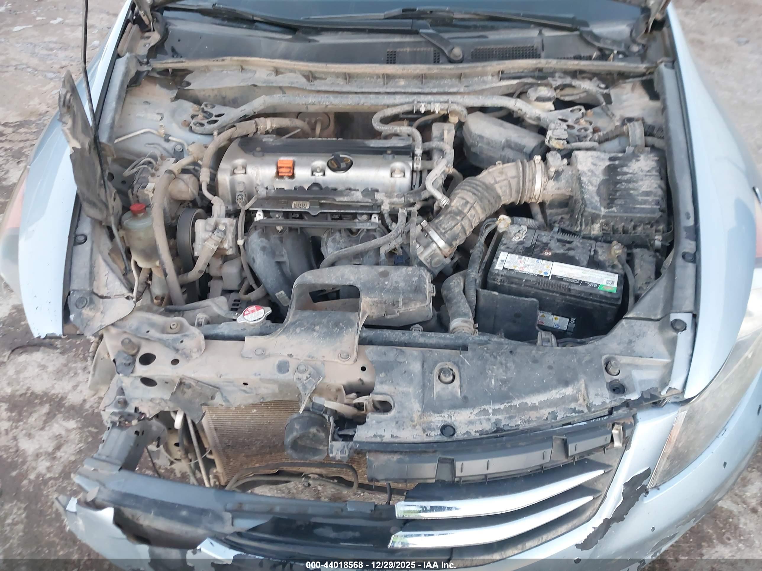 HONDA ACCORD image 10