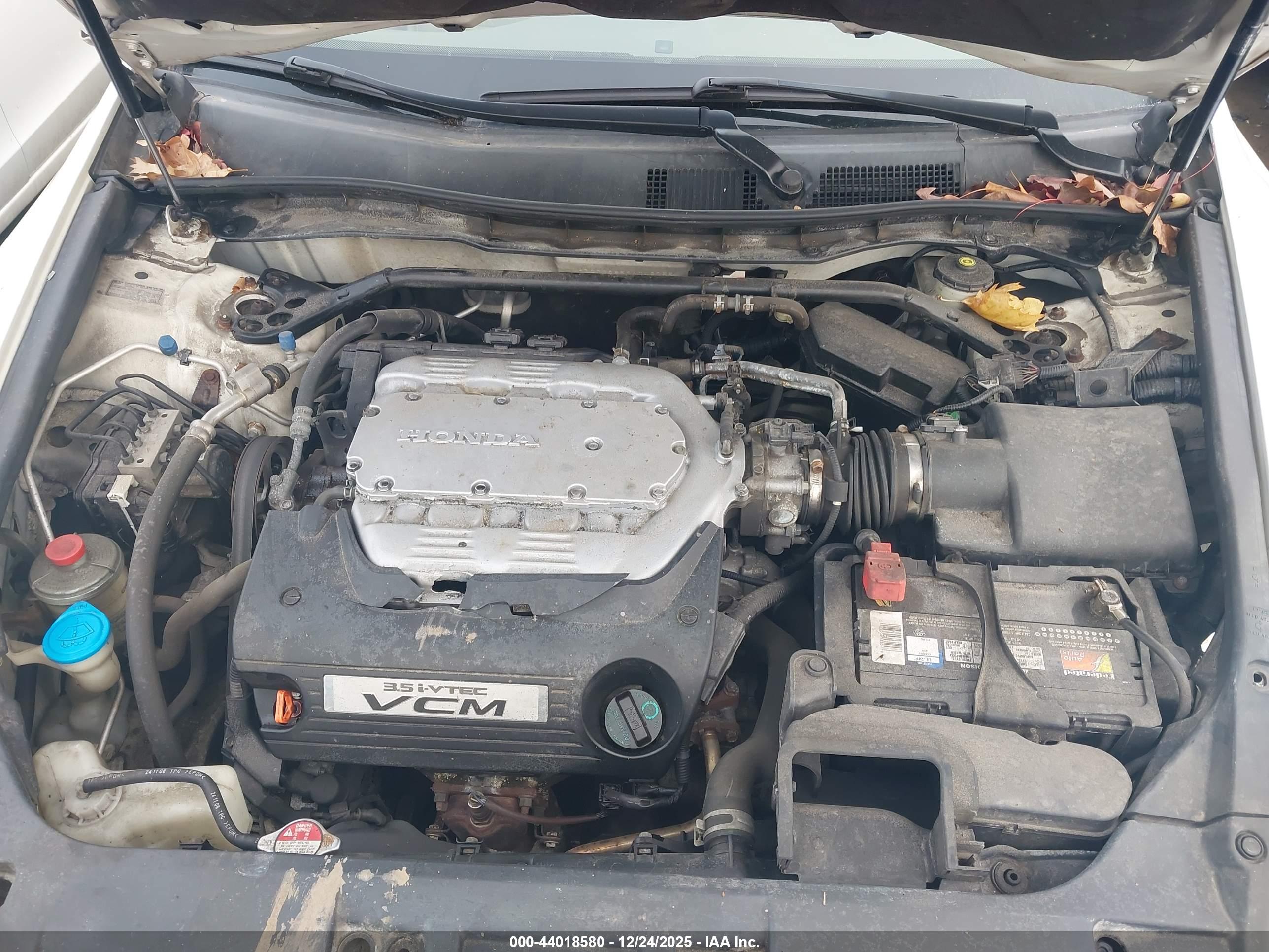 HONDA ACCORD image 10