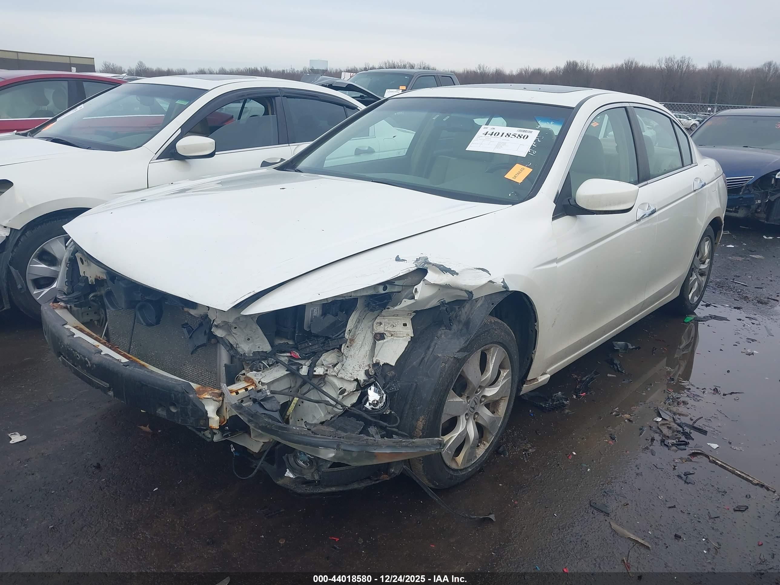 HONDA ACCORD image 2