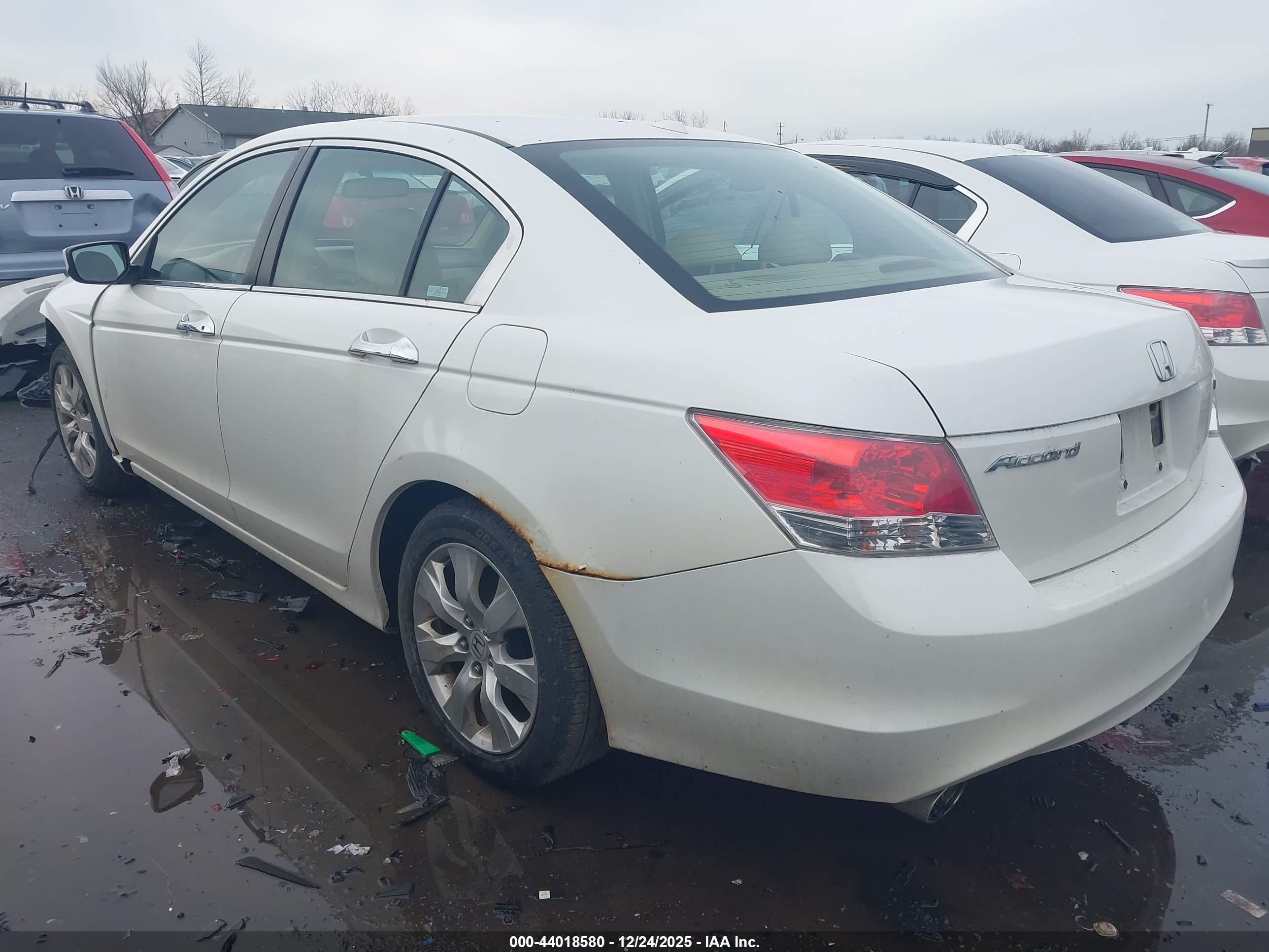 HONDA ACCORD image 3