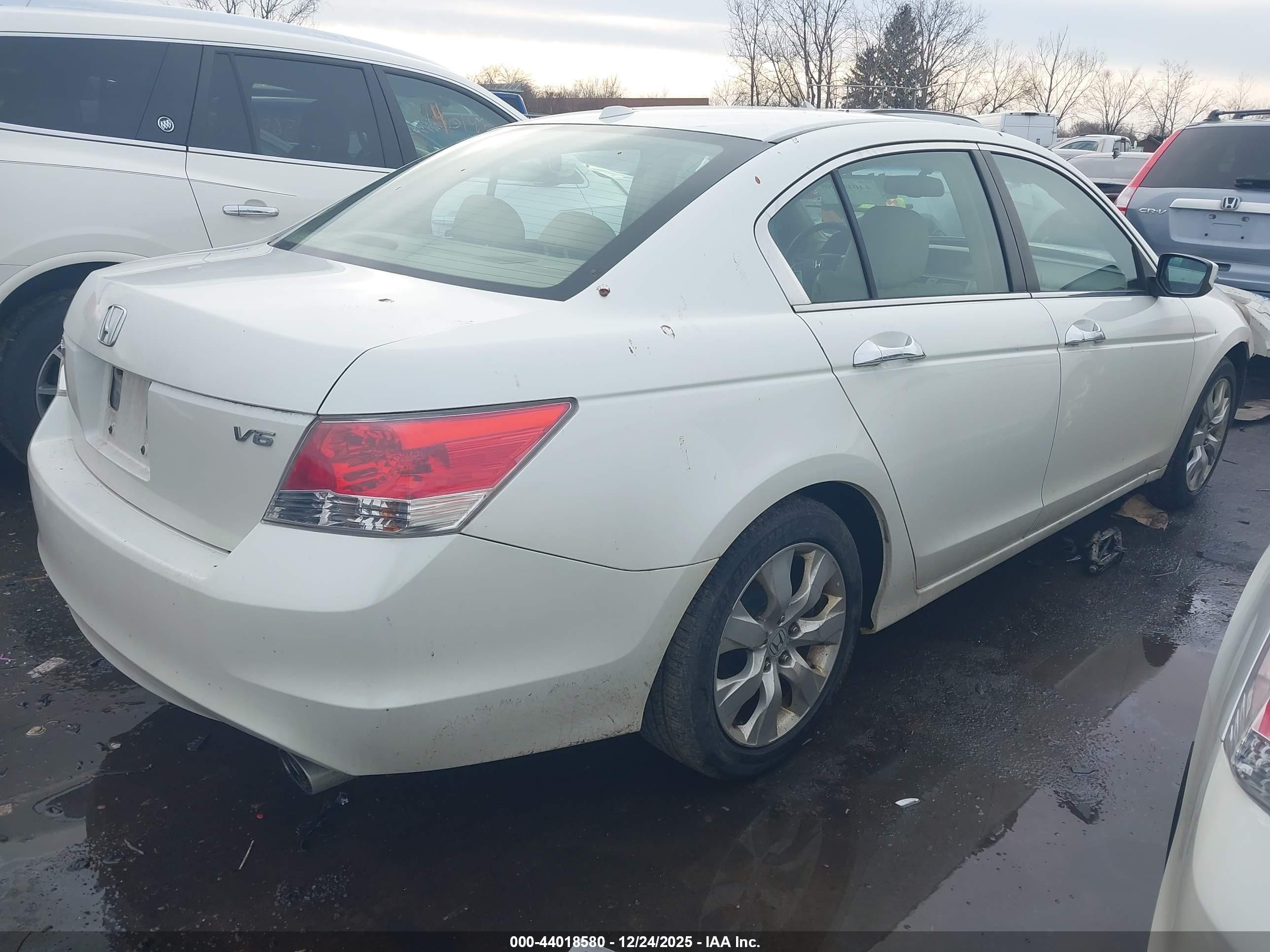 HONDA ACCORD image 4