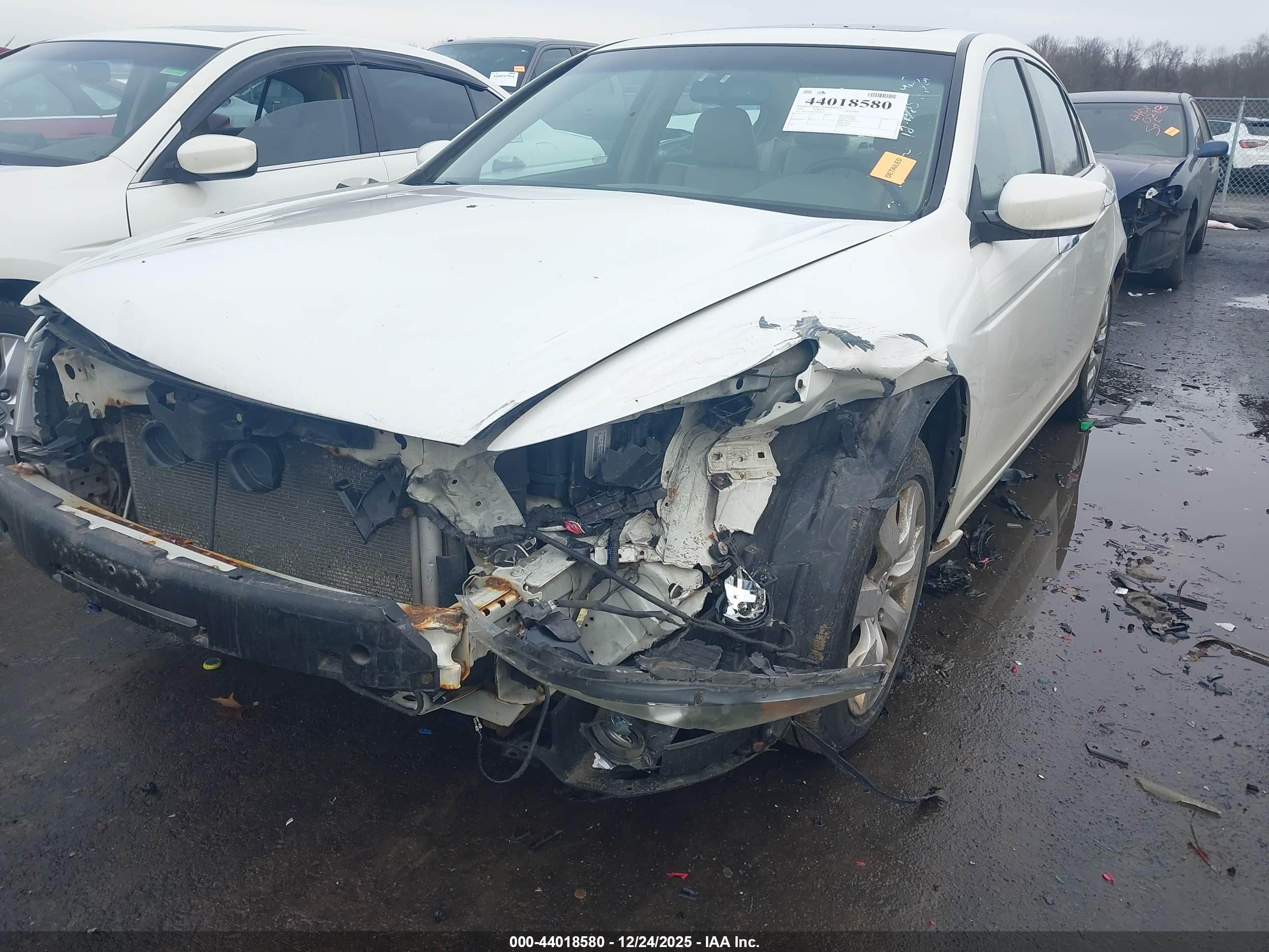 HONDA ACCORD image 6