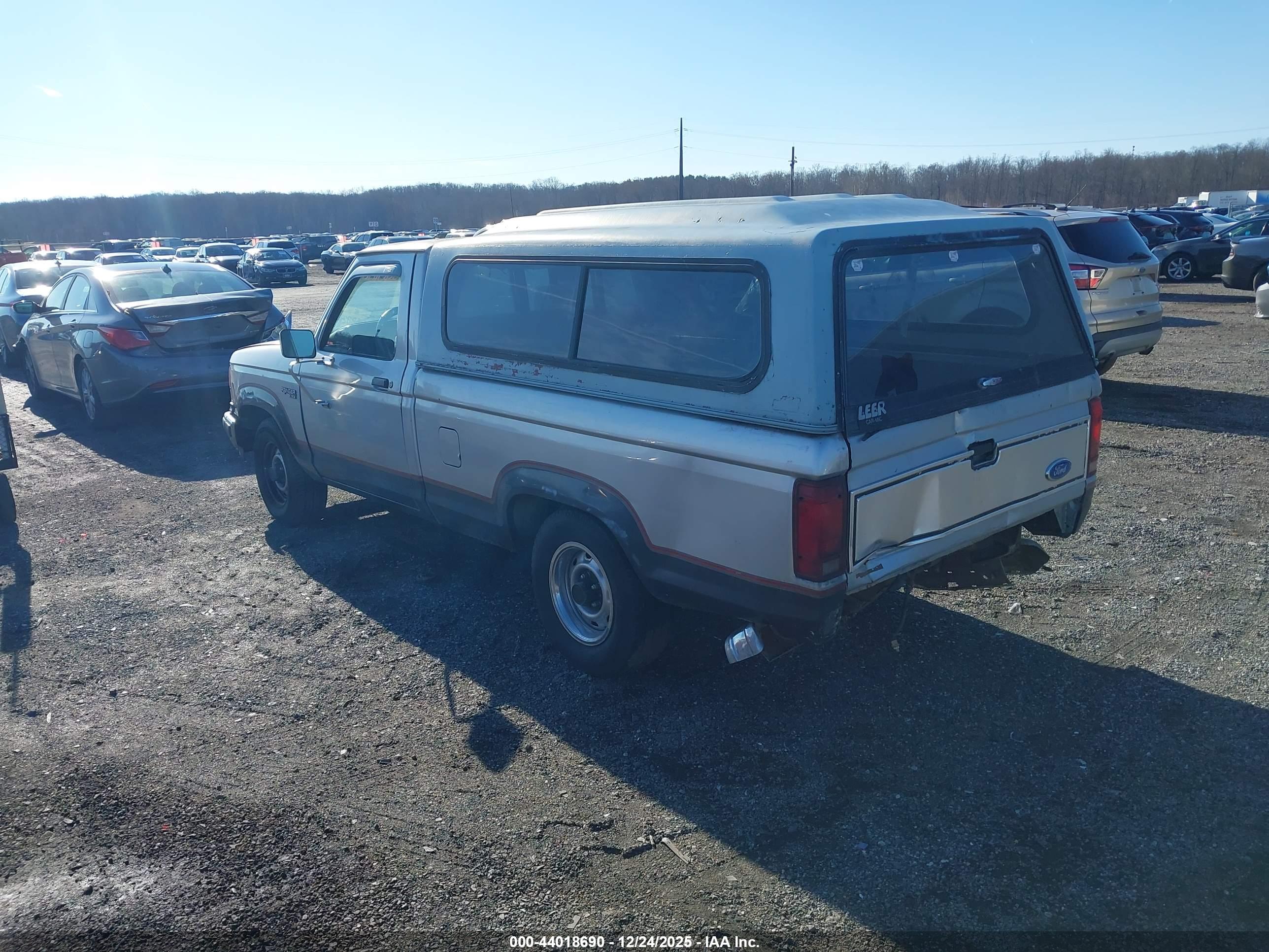 FORD RANGER image 3