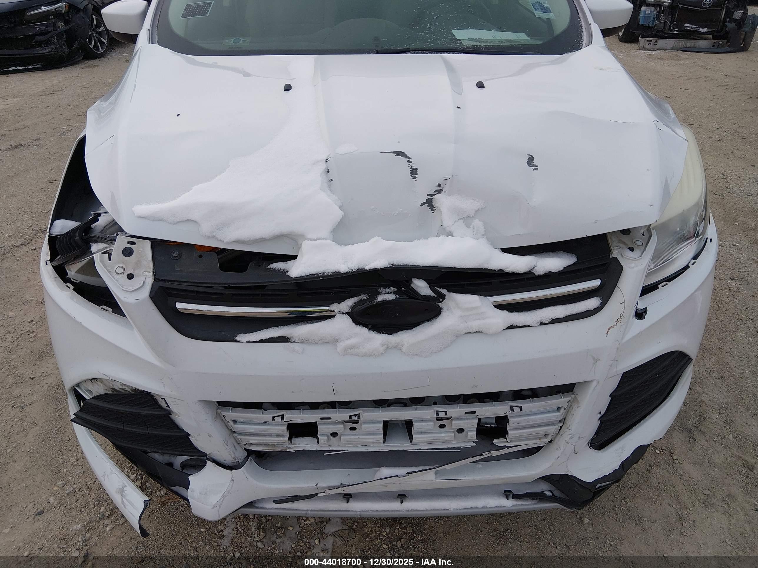 FORD ESCAPE image 6