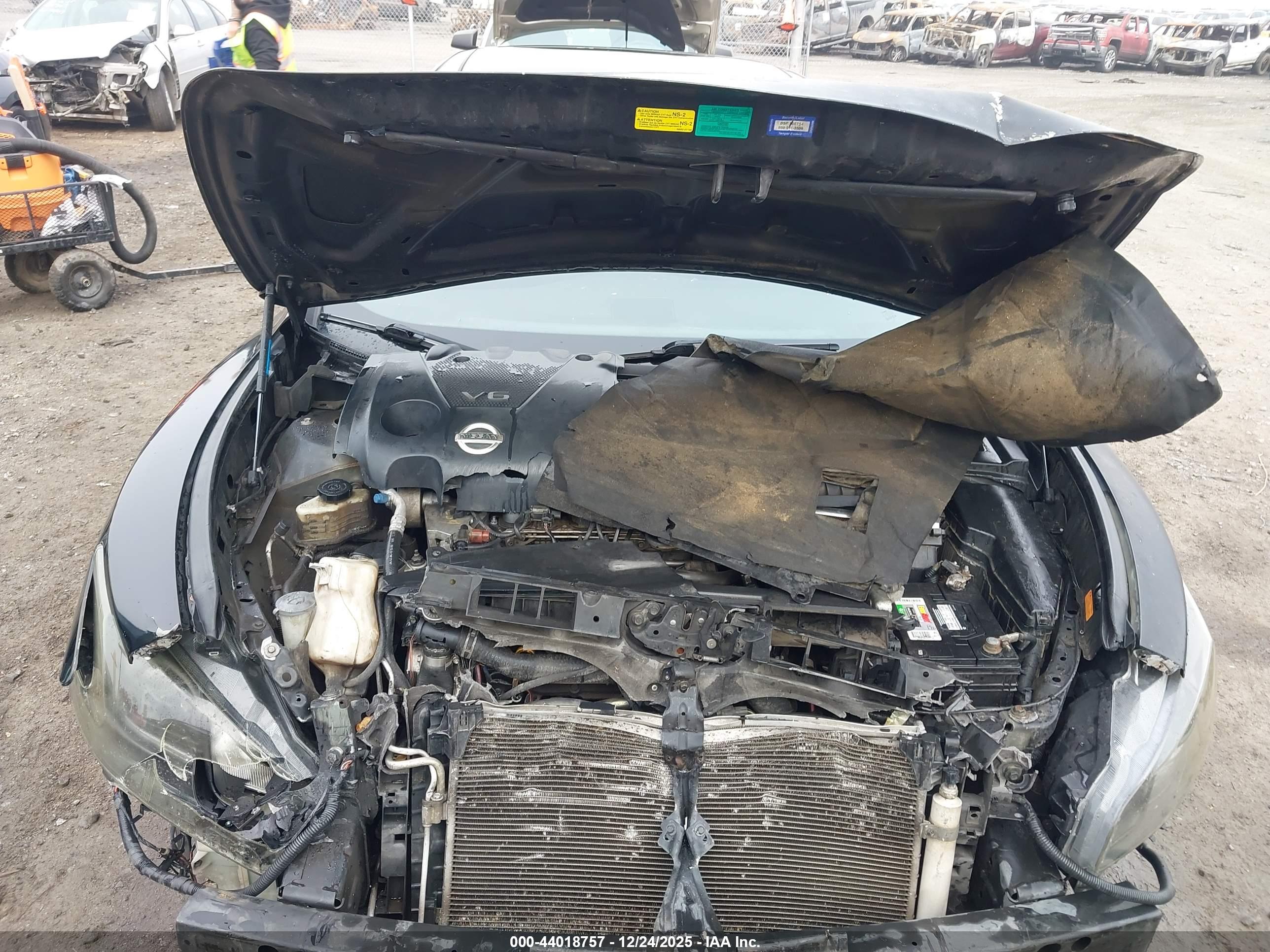 NISSAN MAXIMA image 10