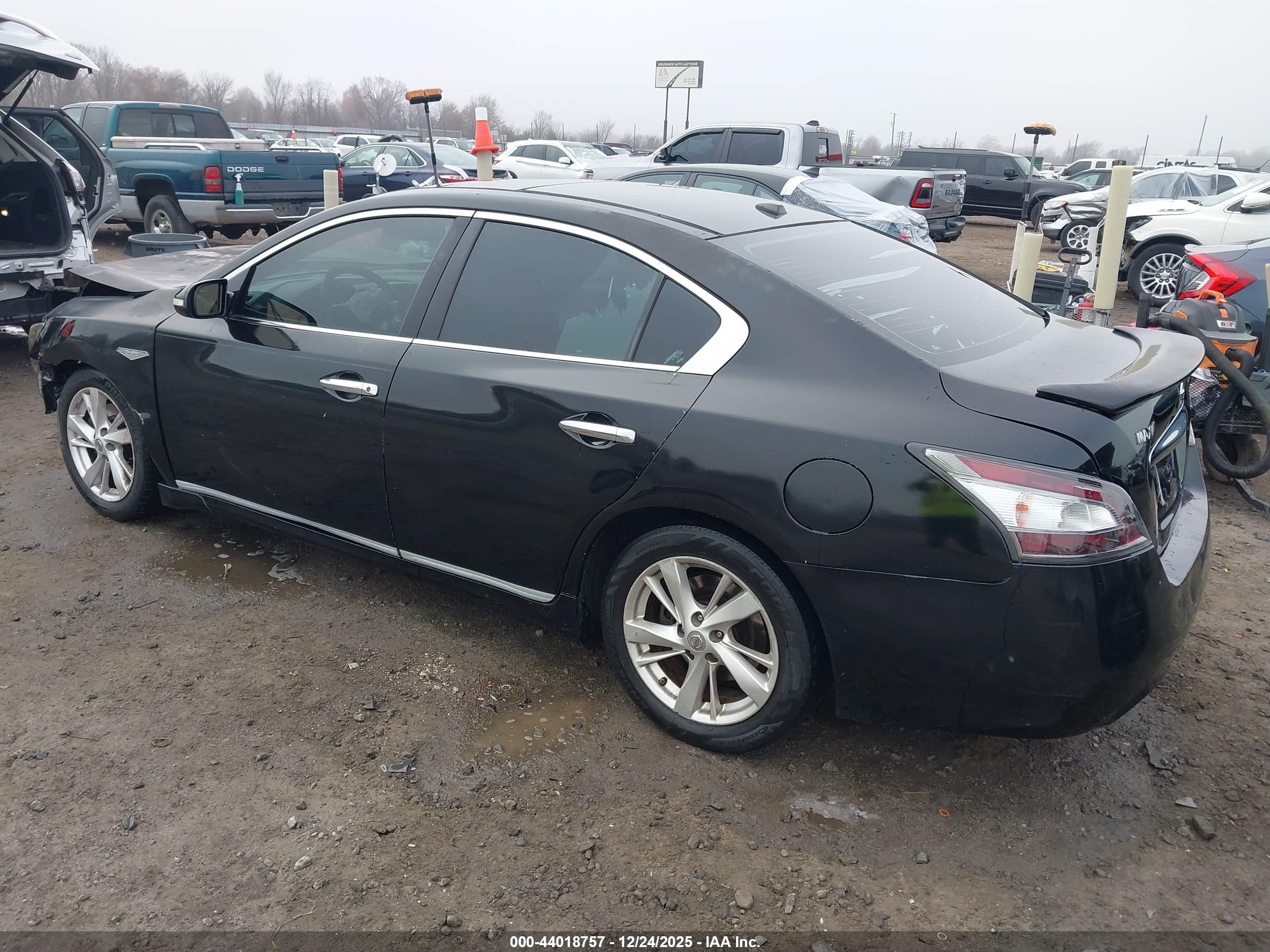 NISSAN MAXIMA image 3