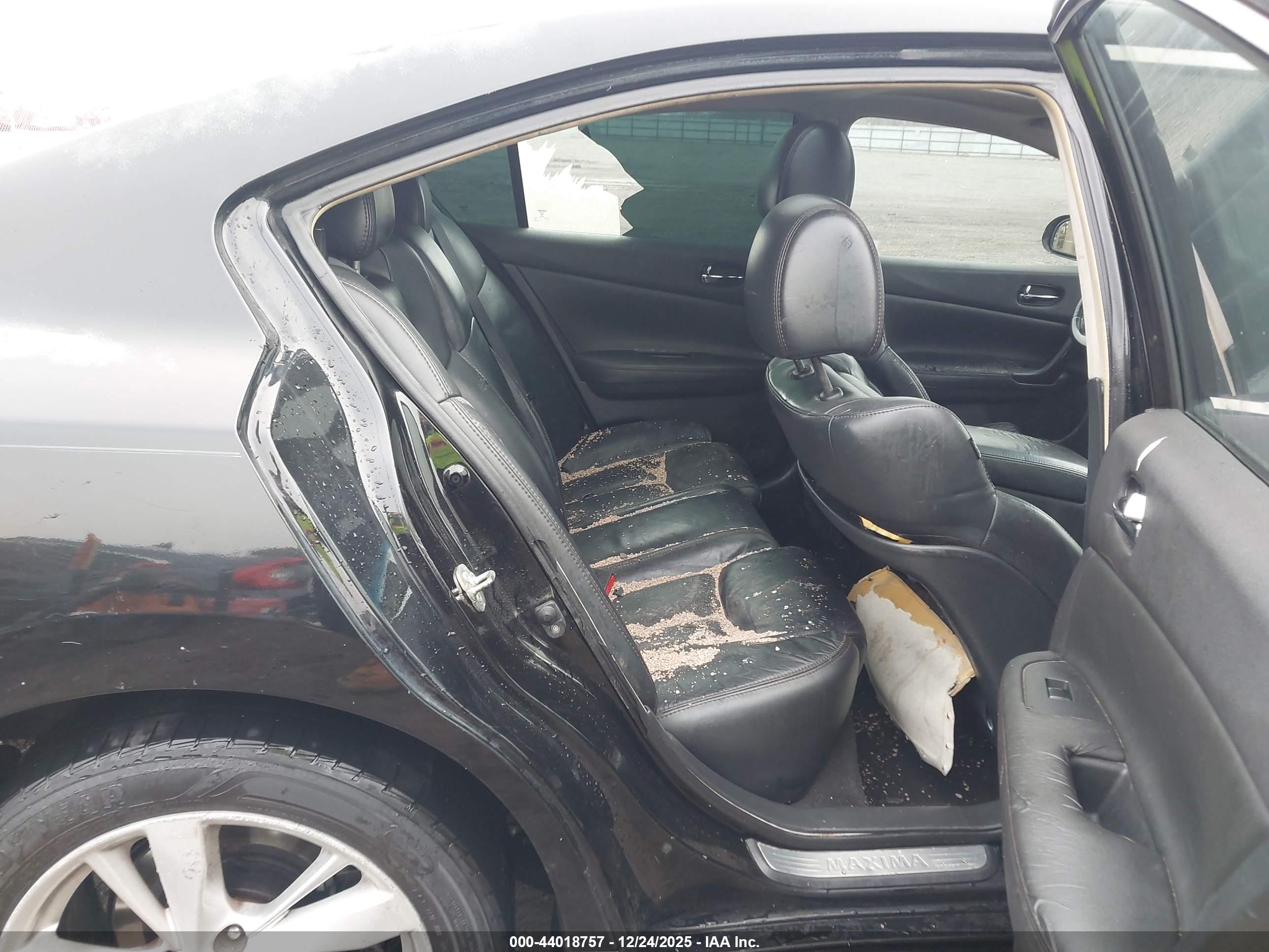 NISSAN MAXIMA image 8
