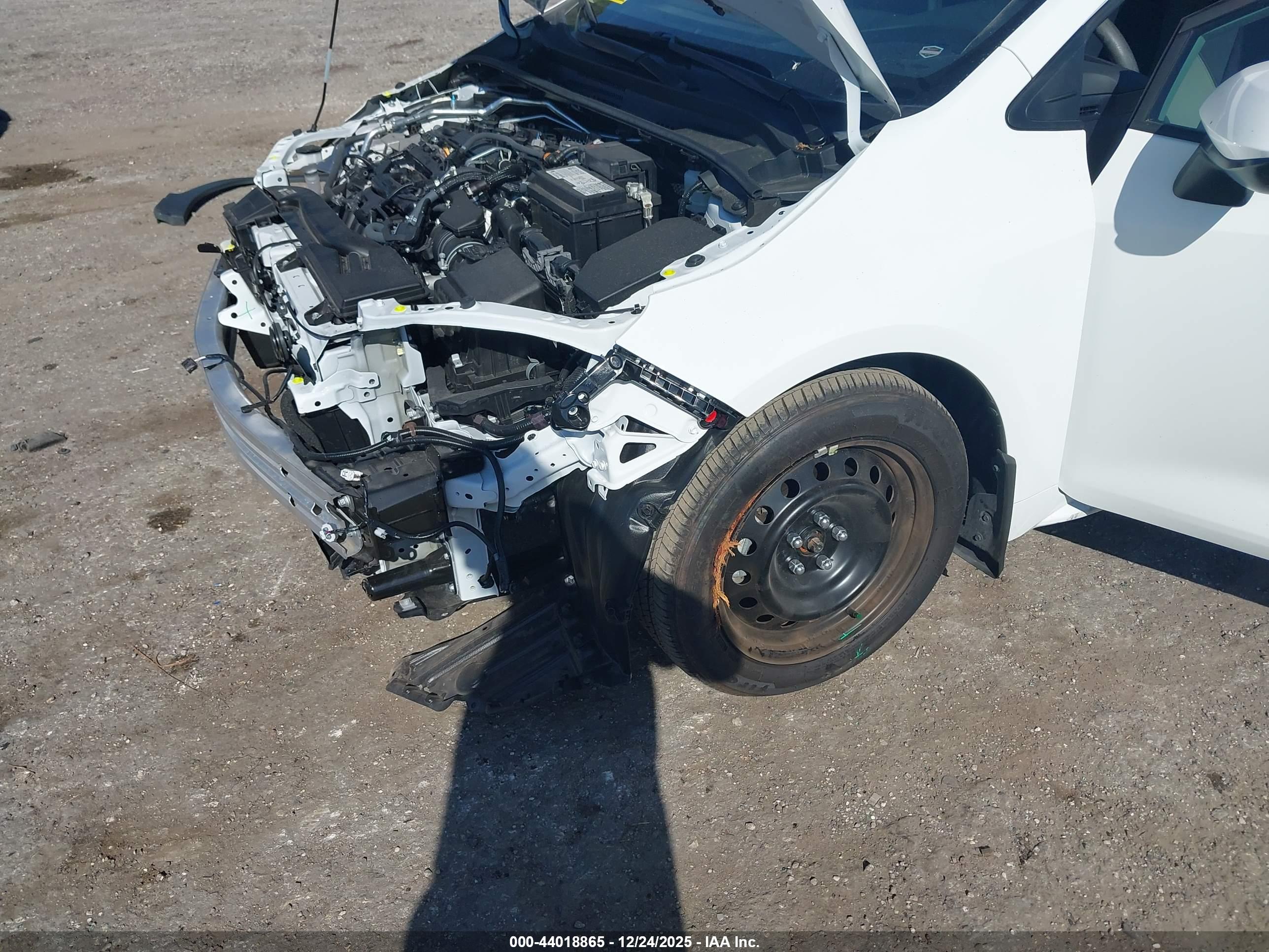 TOYOTA COROLLA image 6