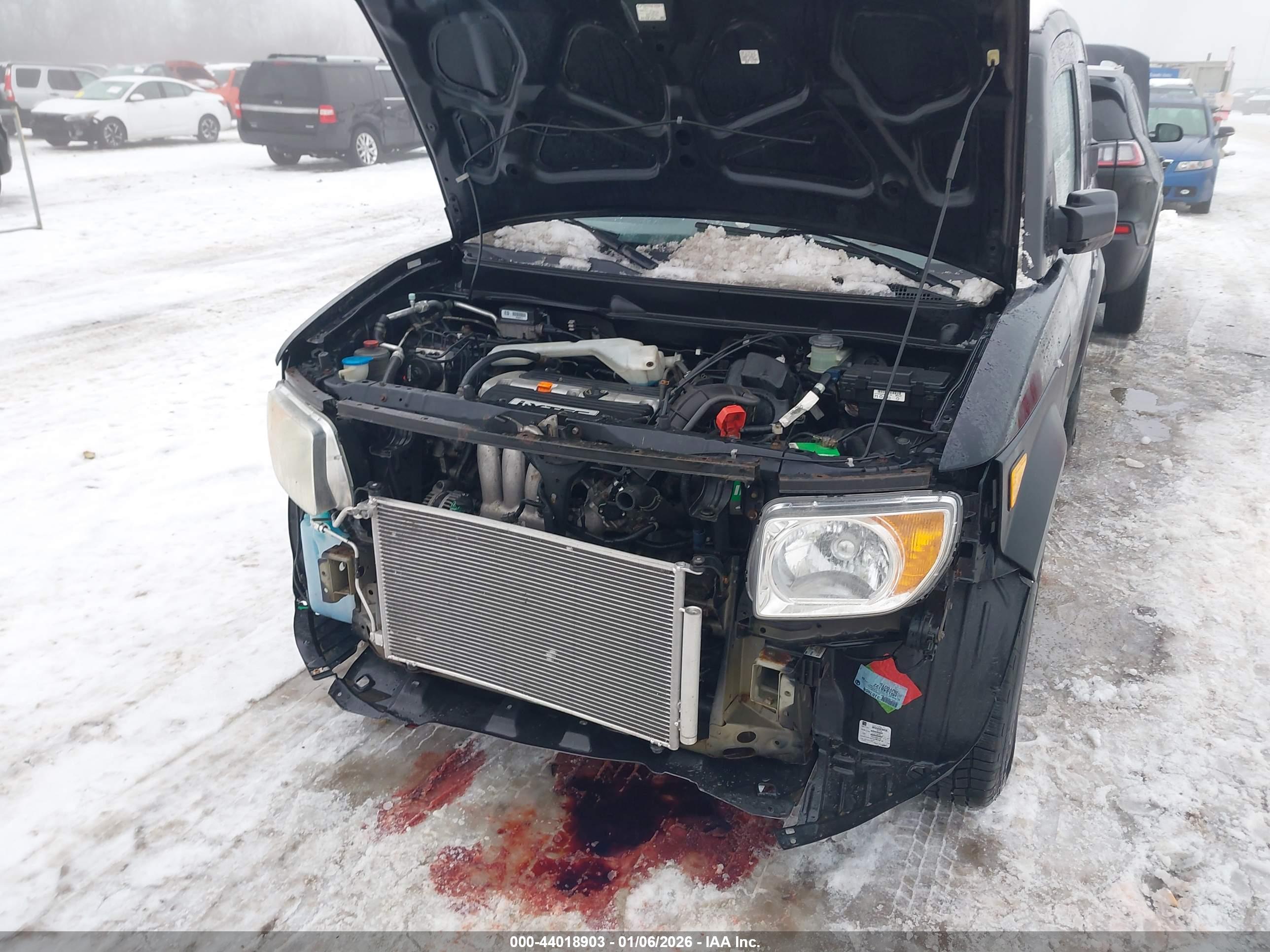 HONDA ELEMENT image 6