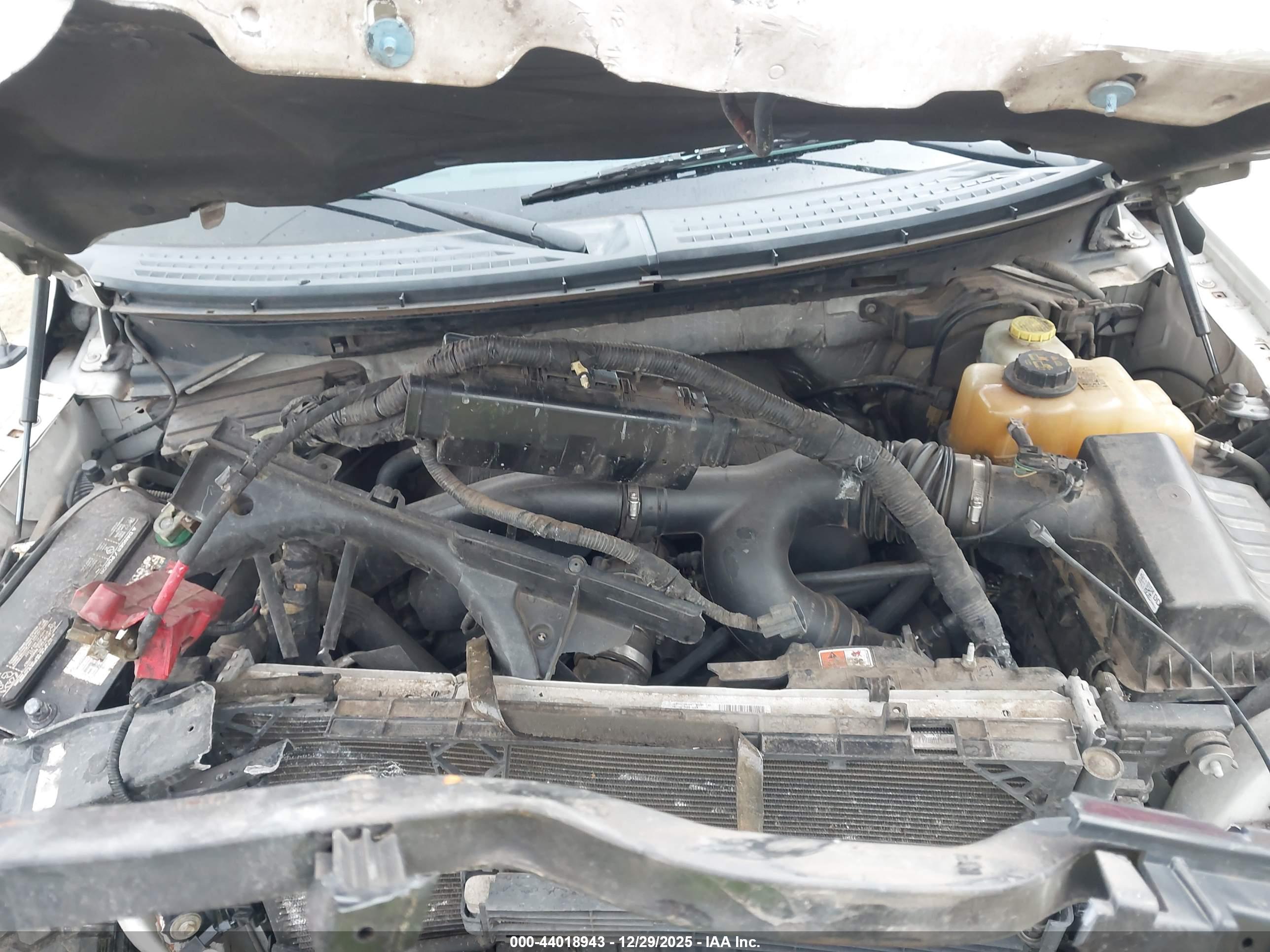 FORD F-150 image 10
