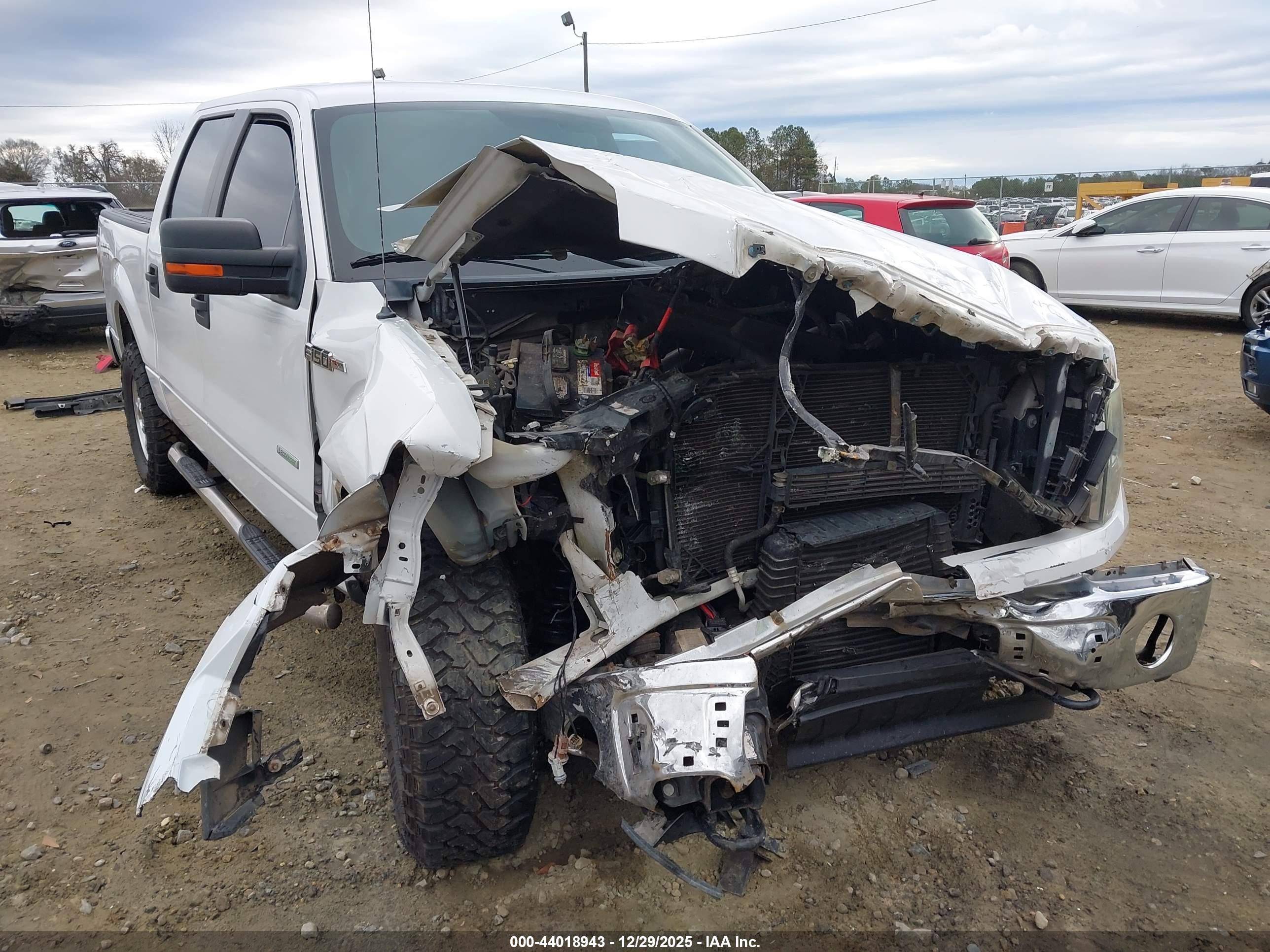 FORD F-150 image 6