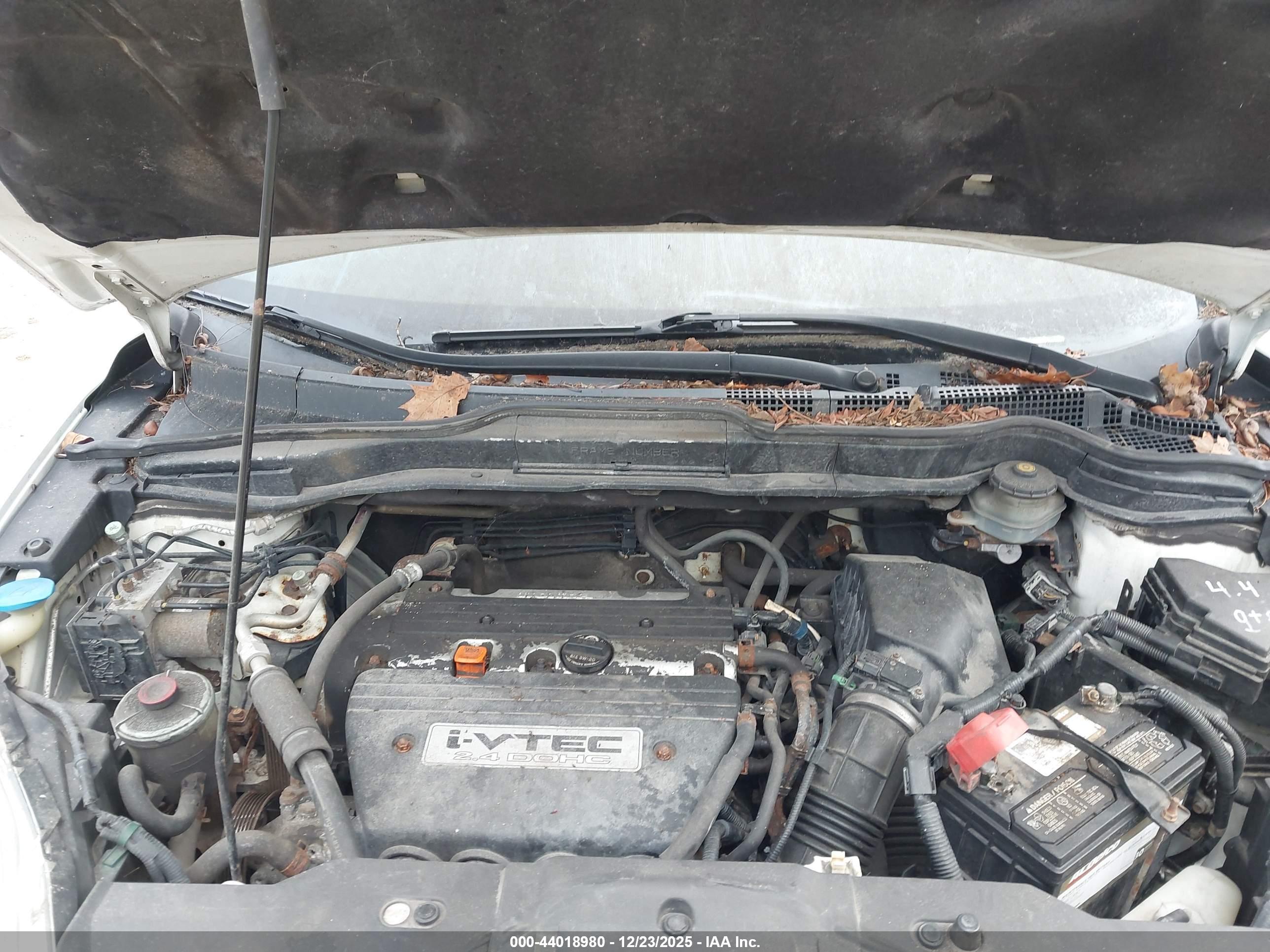 HONDA CR-V image 10