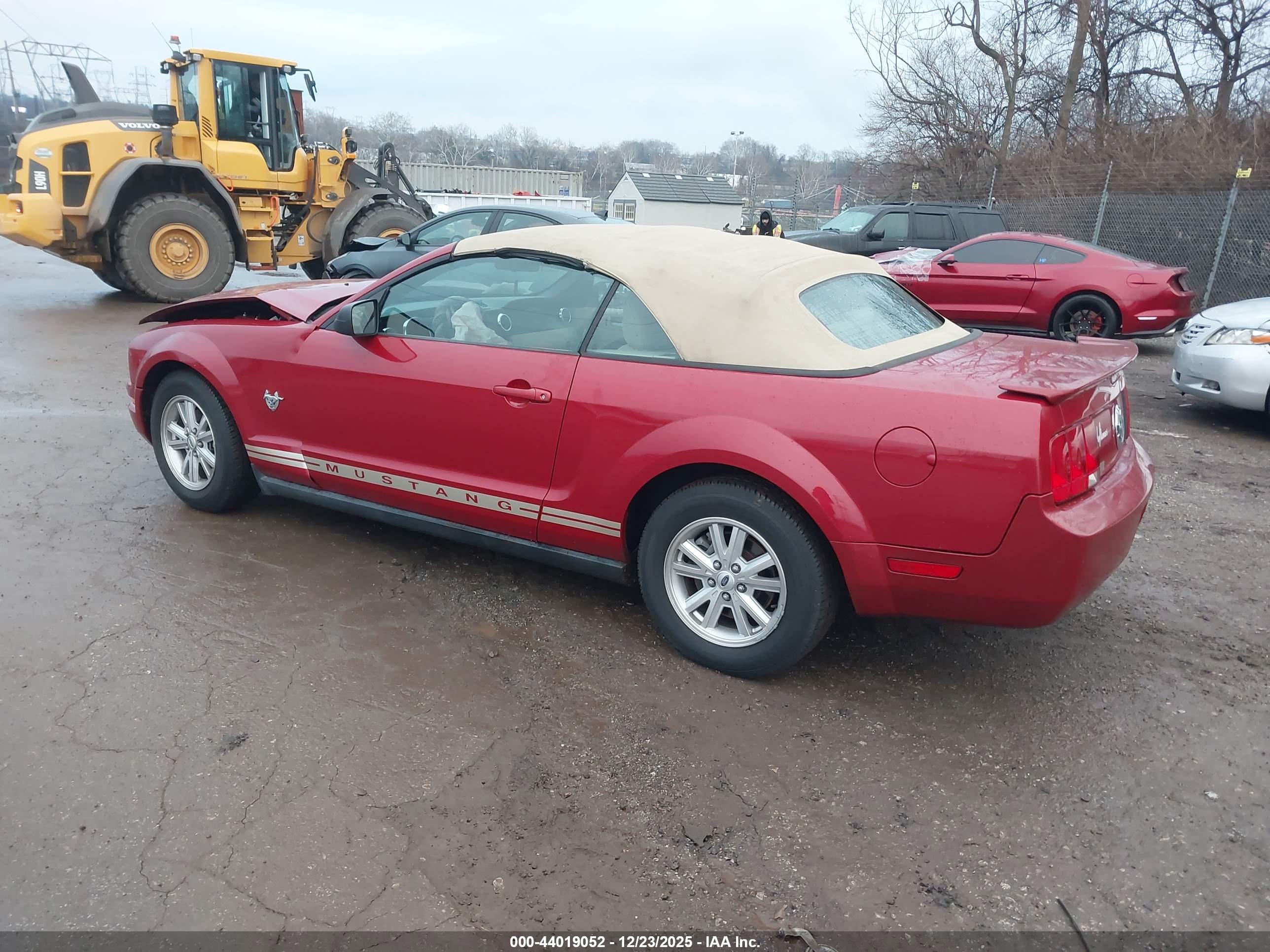 FORD MUSTANG image 3