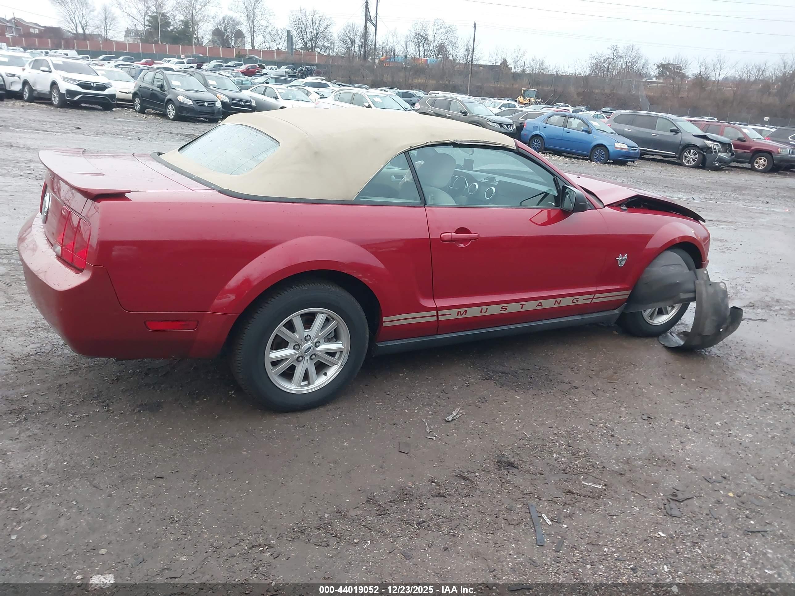 FORD MUSTANG image 4