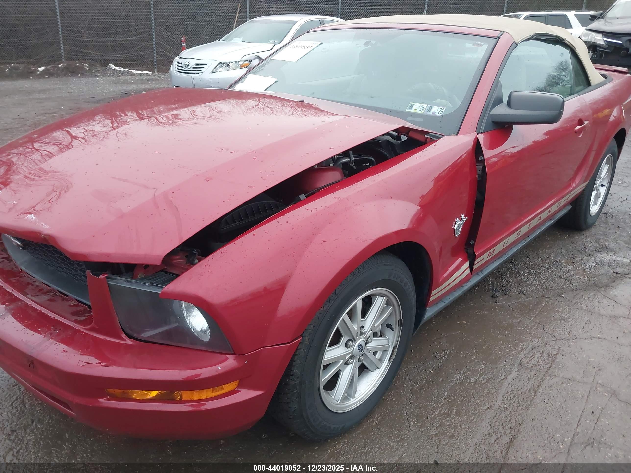 FORD MUSTANG image 6
