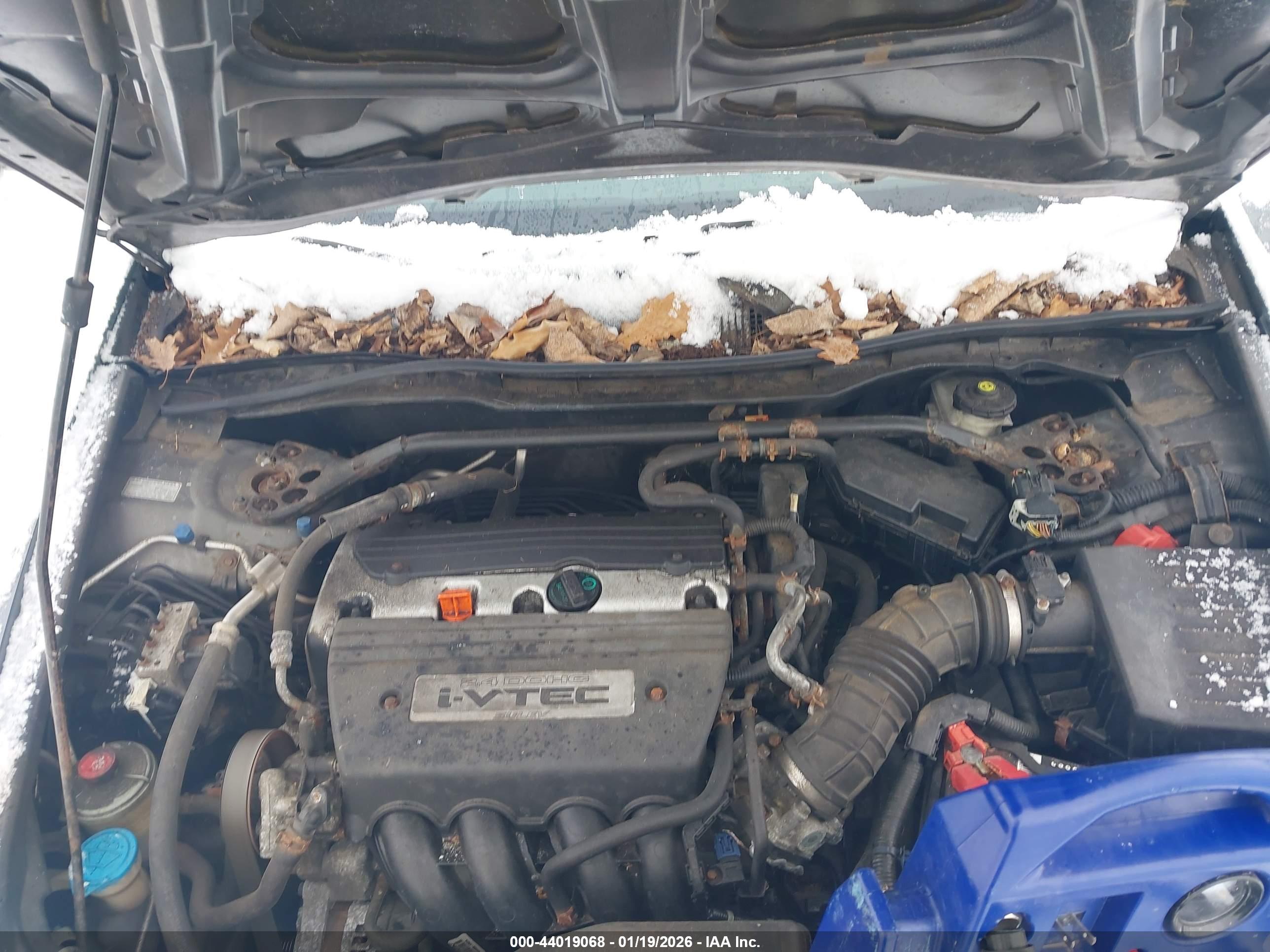 HONDA ACCORD image 10