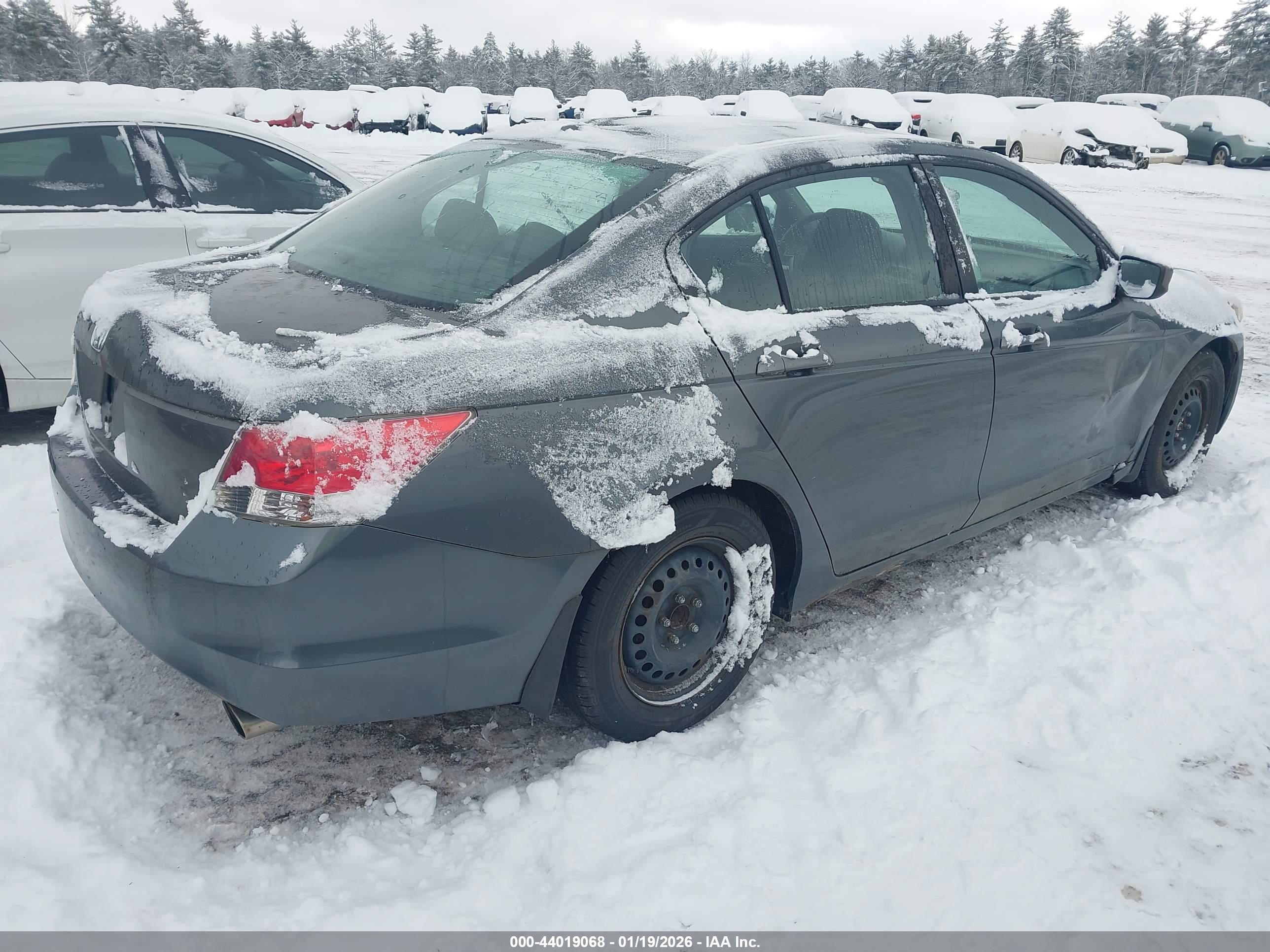 HONDA ACCORD image 4