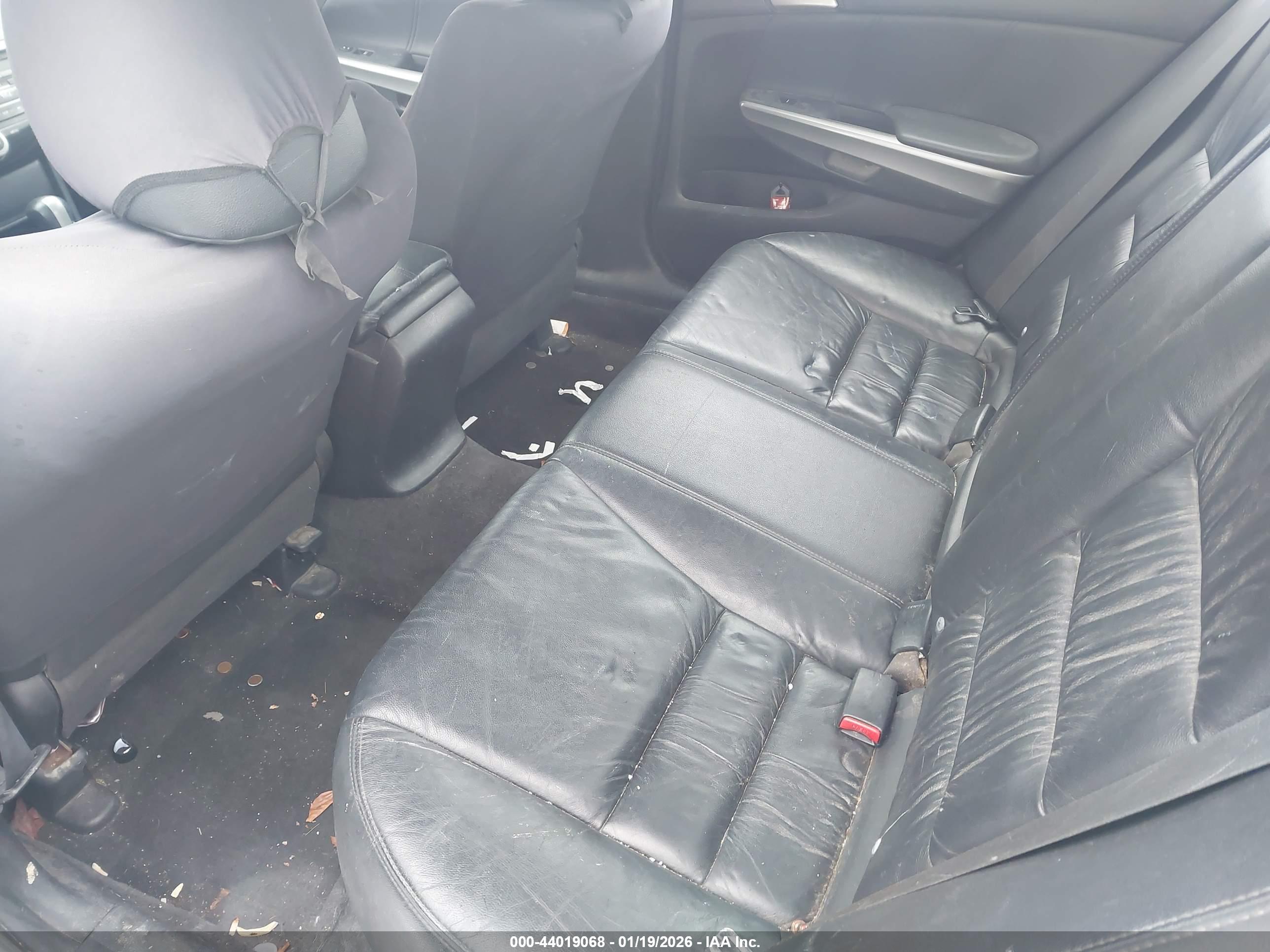 HONDA ACCORD image 8