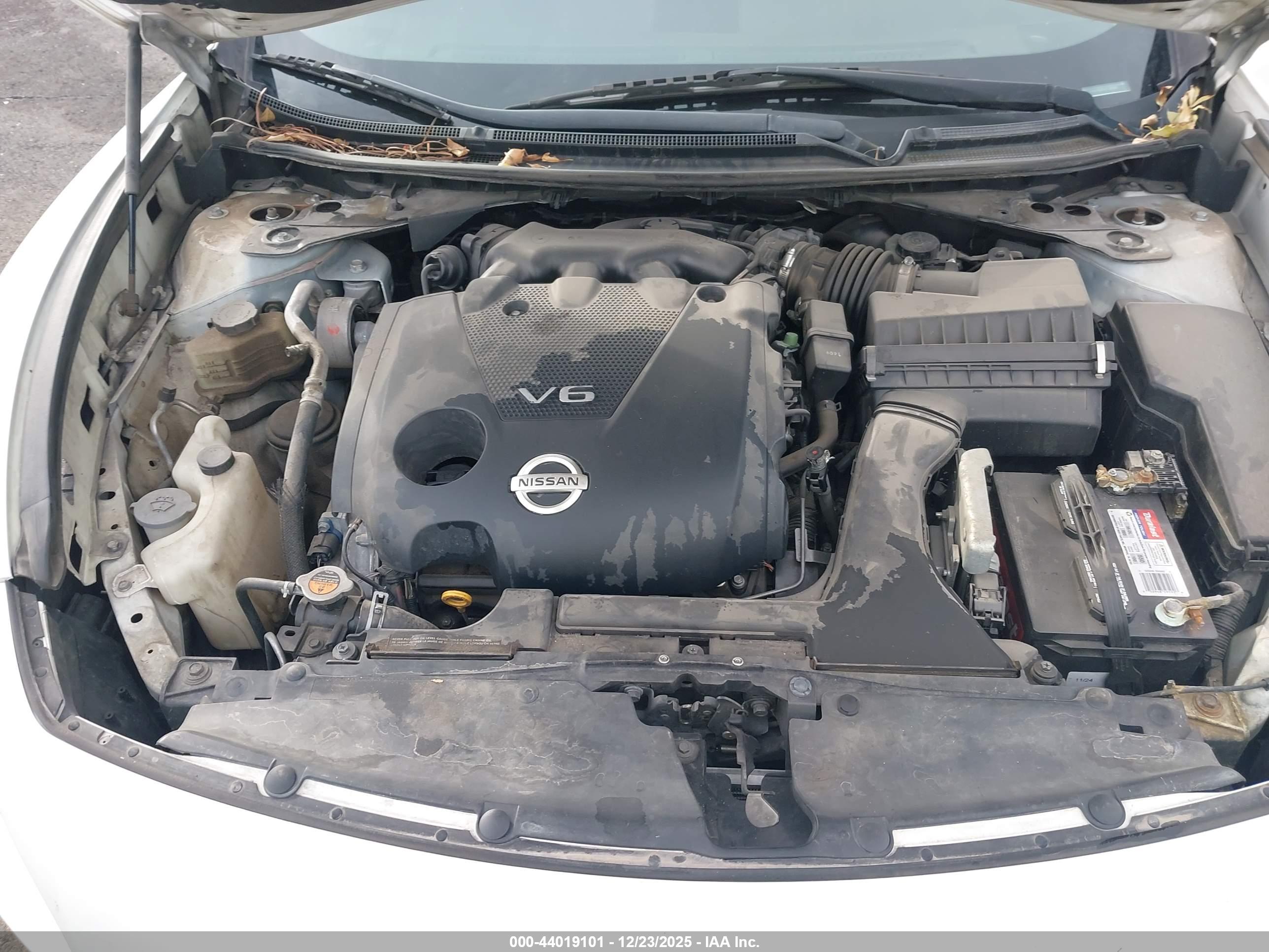 NISSAN MAXIMA image 10