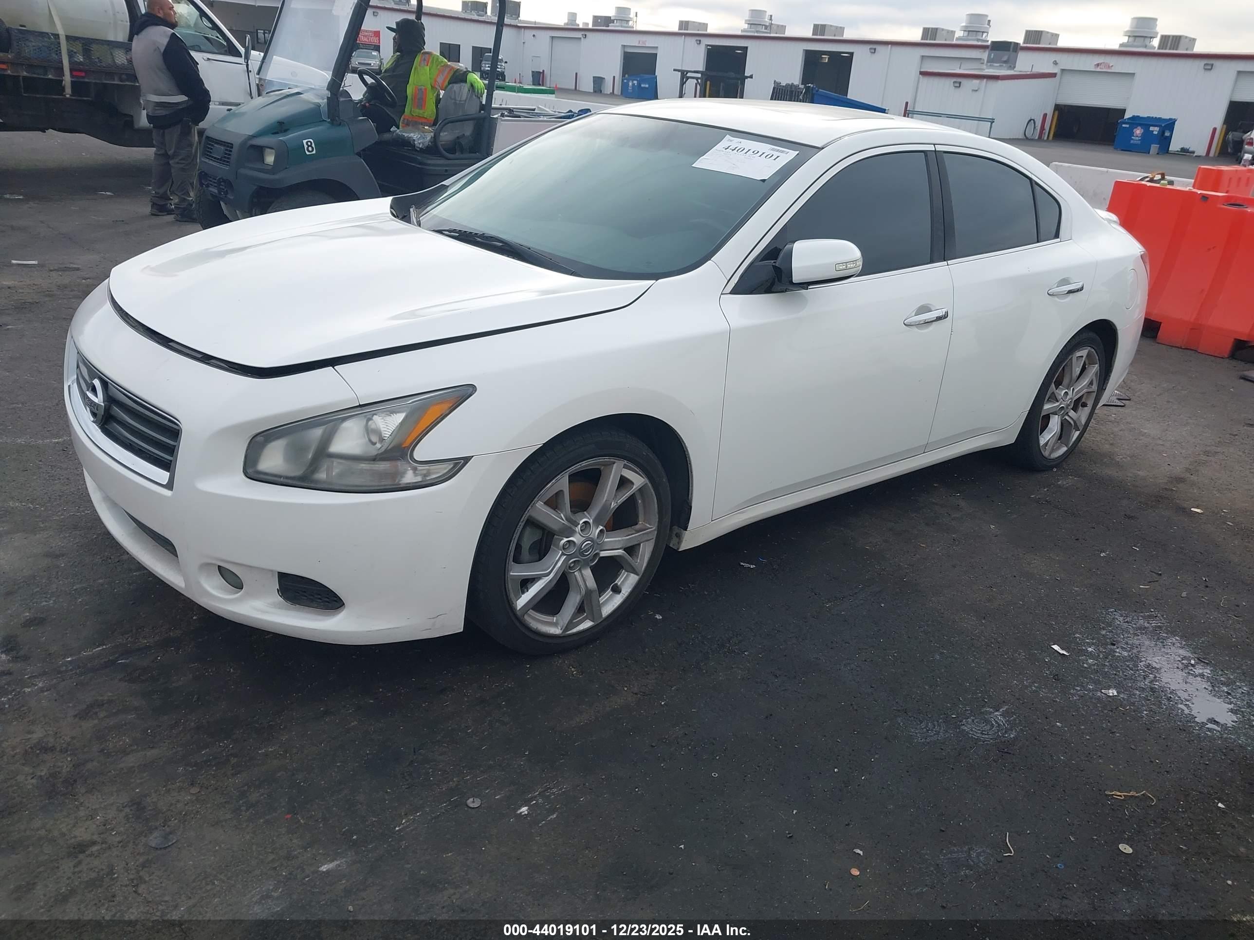 NISSAN MAXIMA image 2