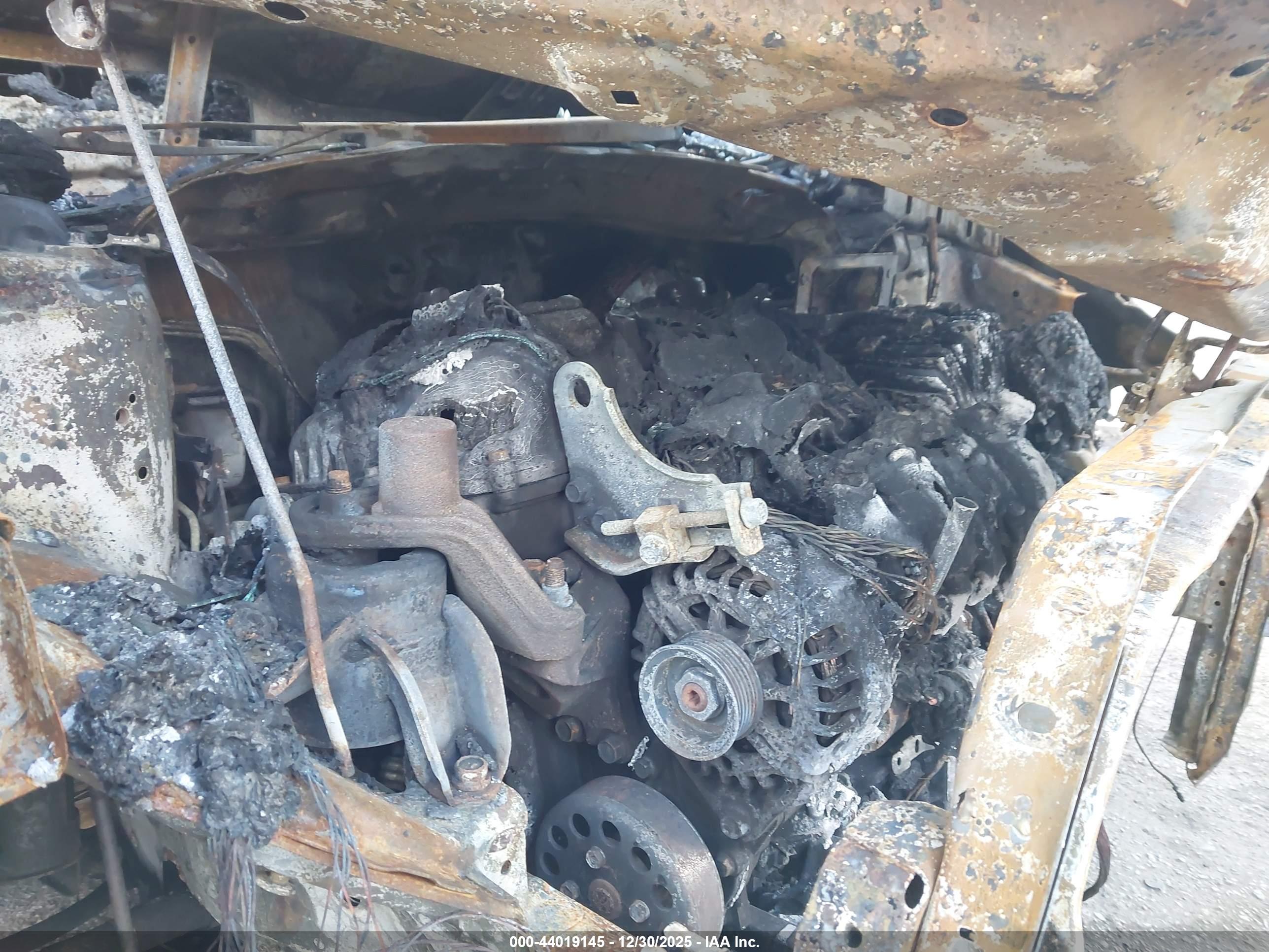 KIA RIO image 10