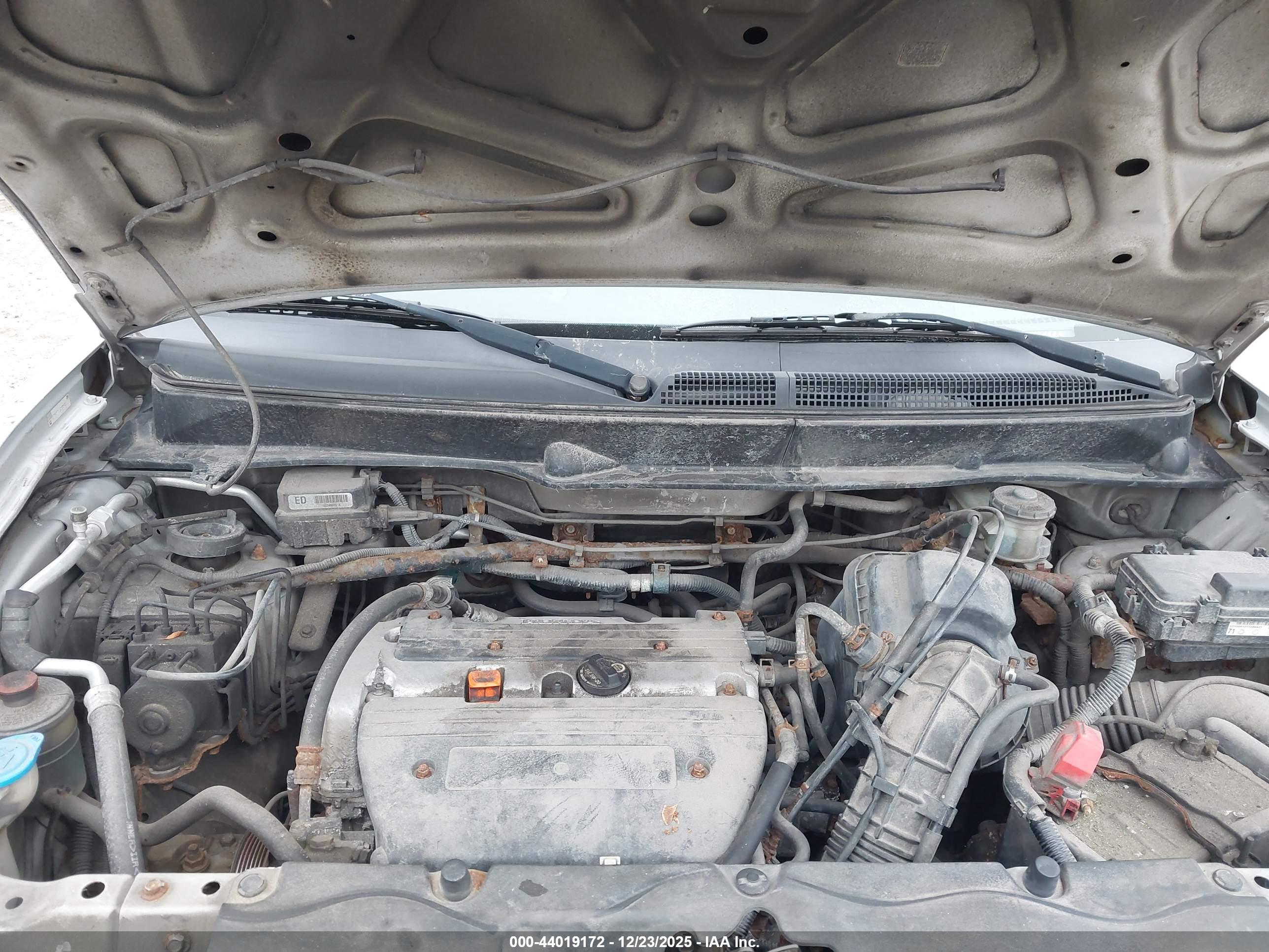 HONDA ELEMENT image 10