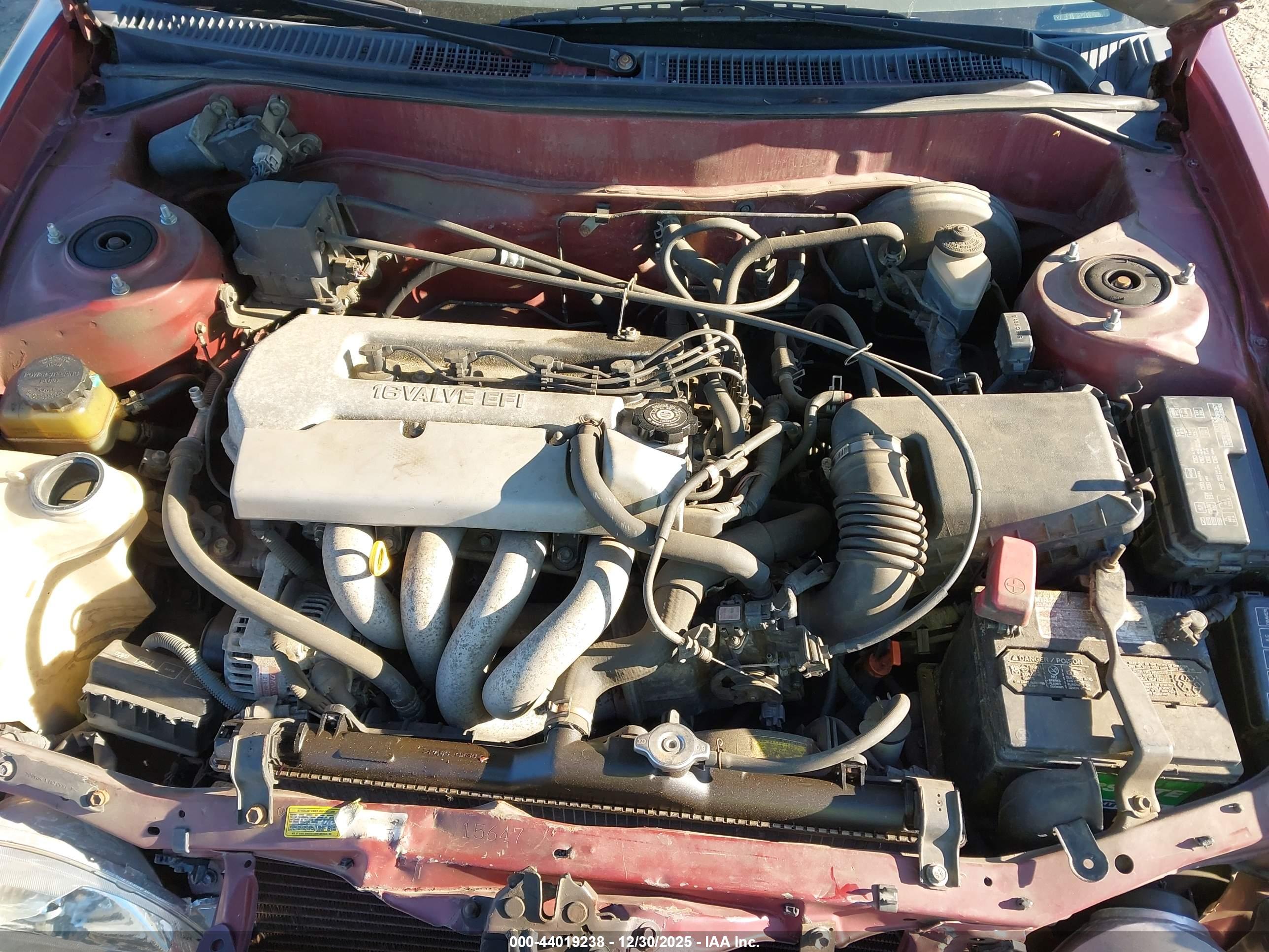 TOYOTA COROLLA image 10