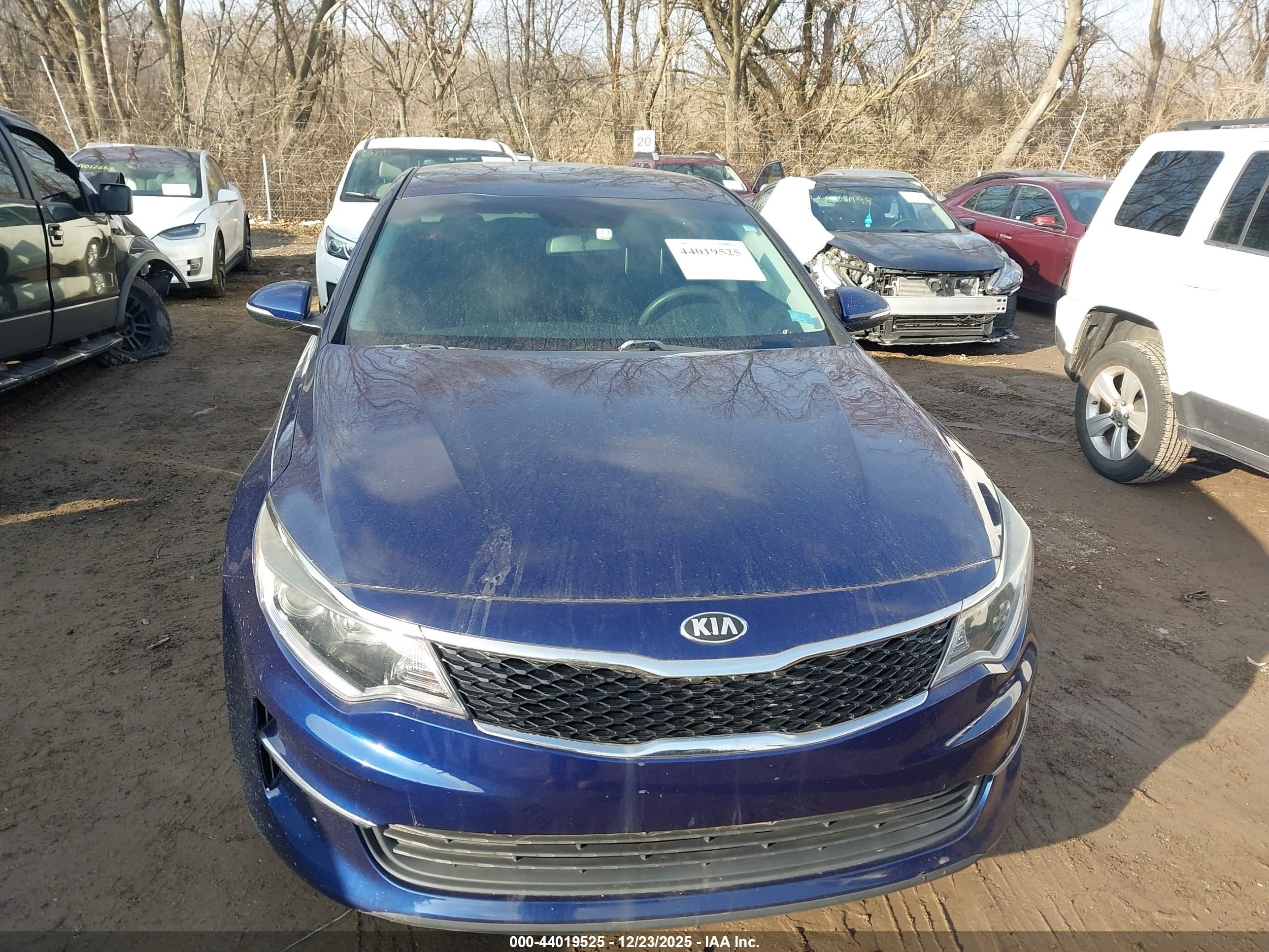 KIA OPTIMA image 6