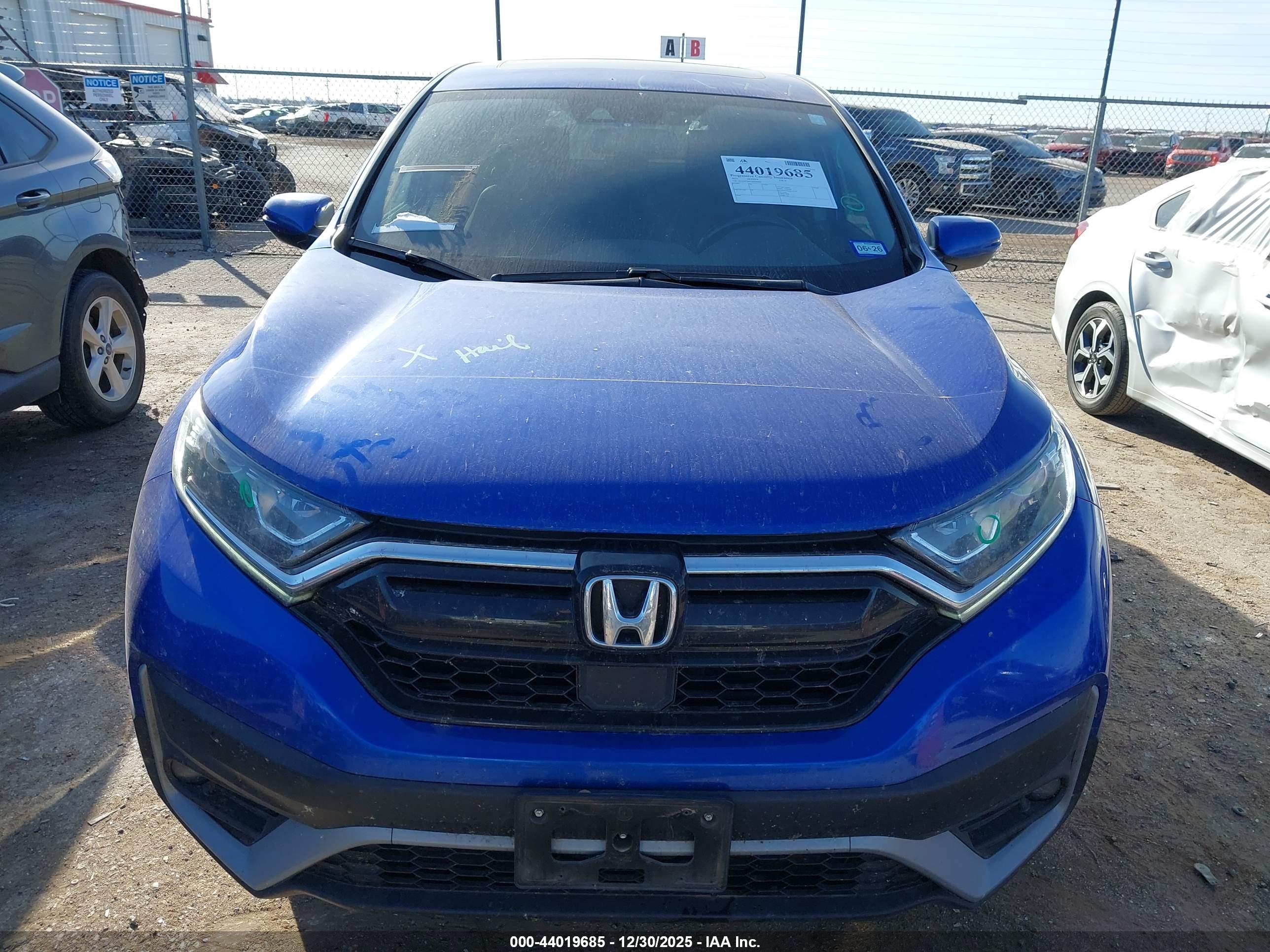 HONDA CR-V image 6