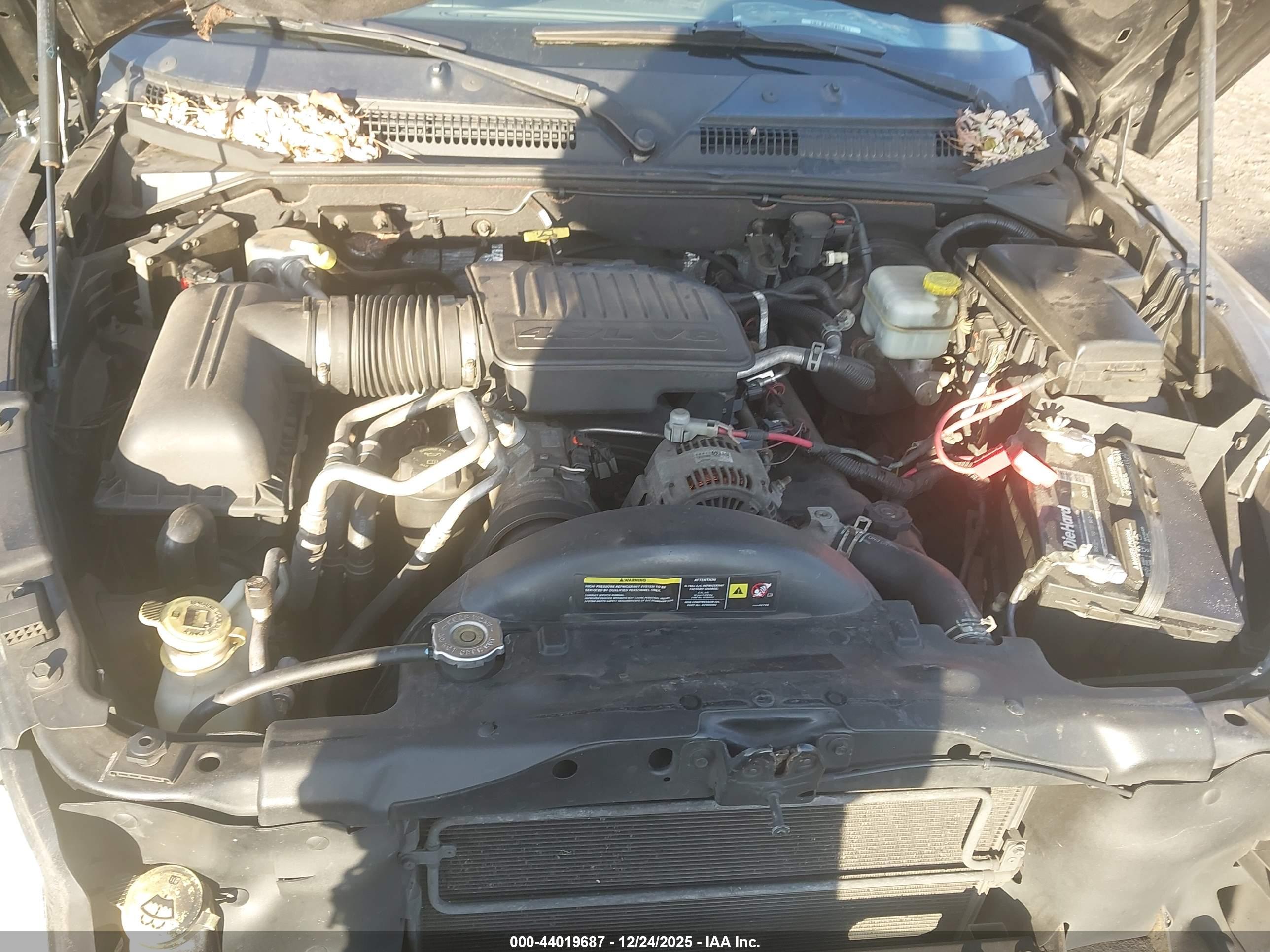 DODGE DAKOTA image 10