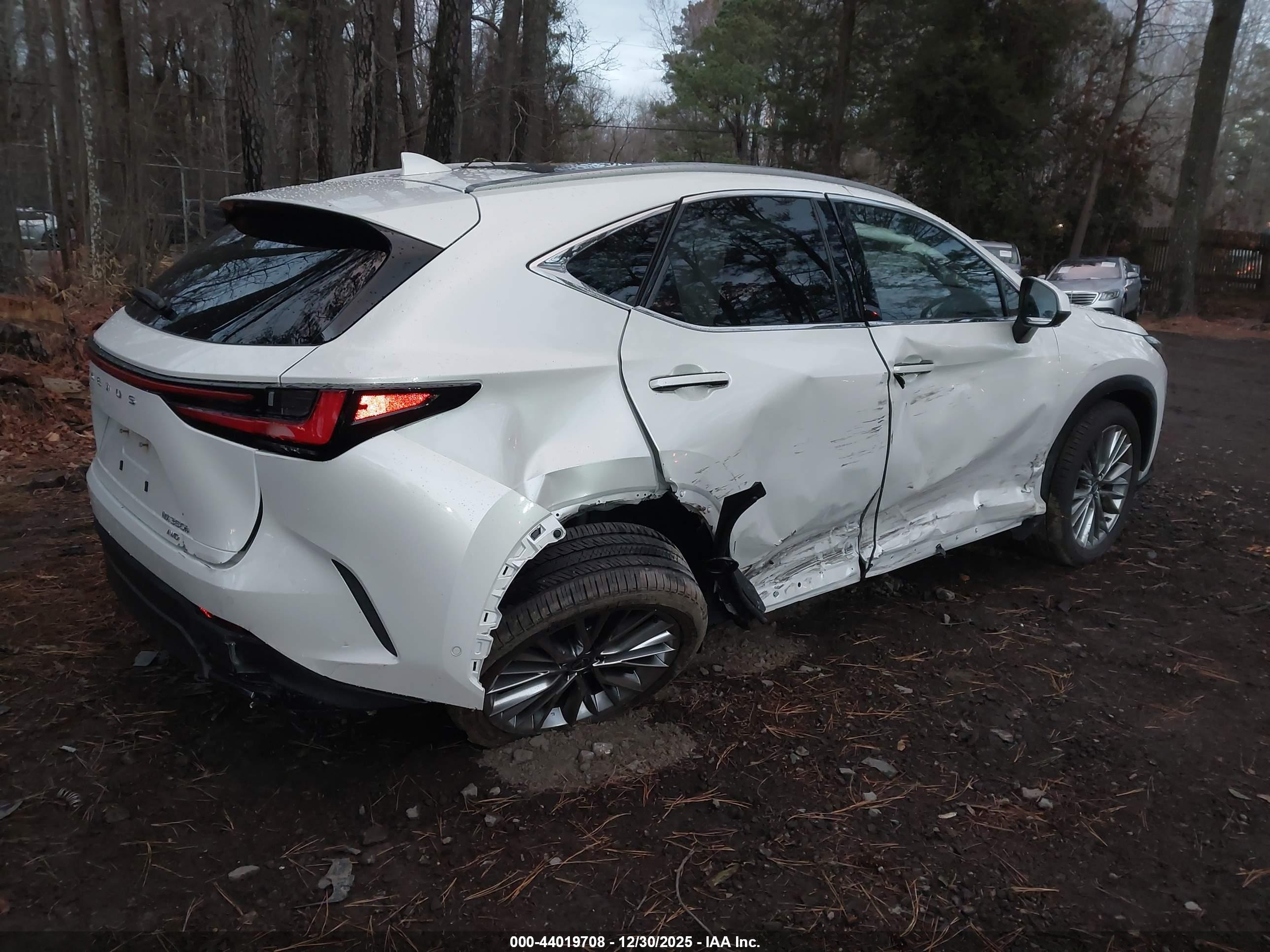 LEXUS NX image 4