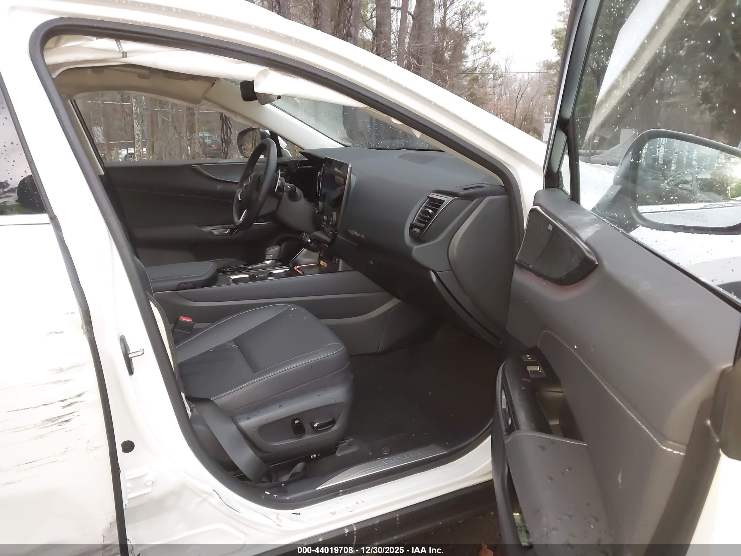 LEXUS NX image 5
