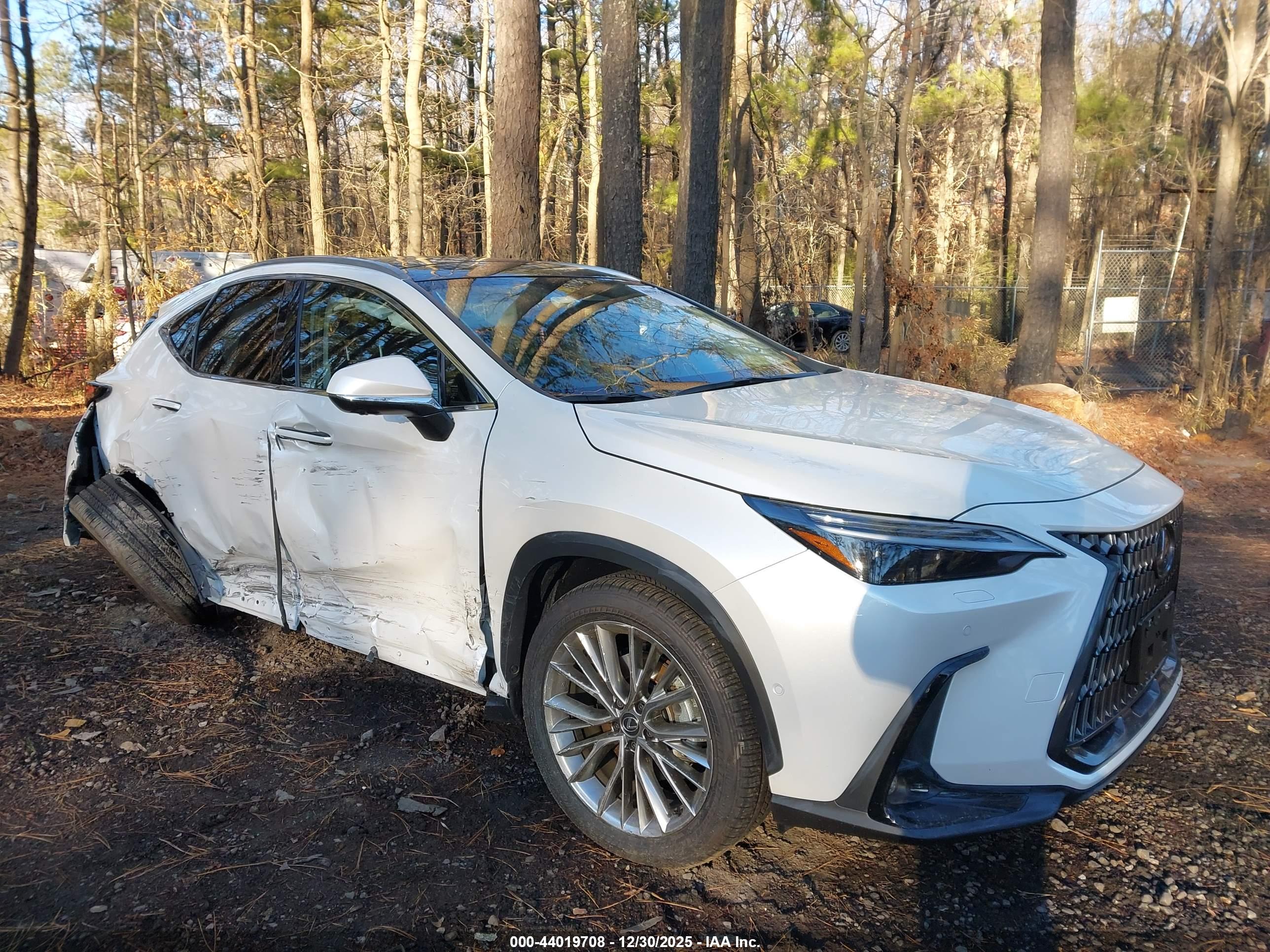 LEXUS NX image 6