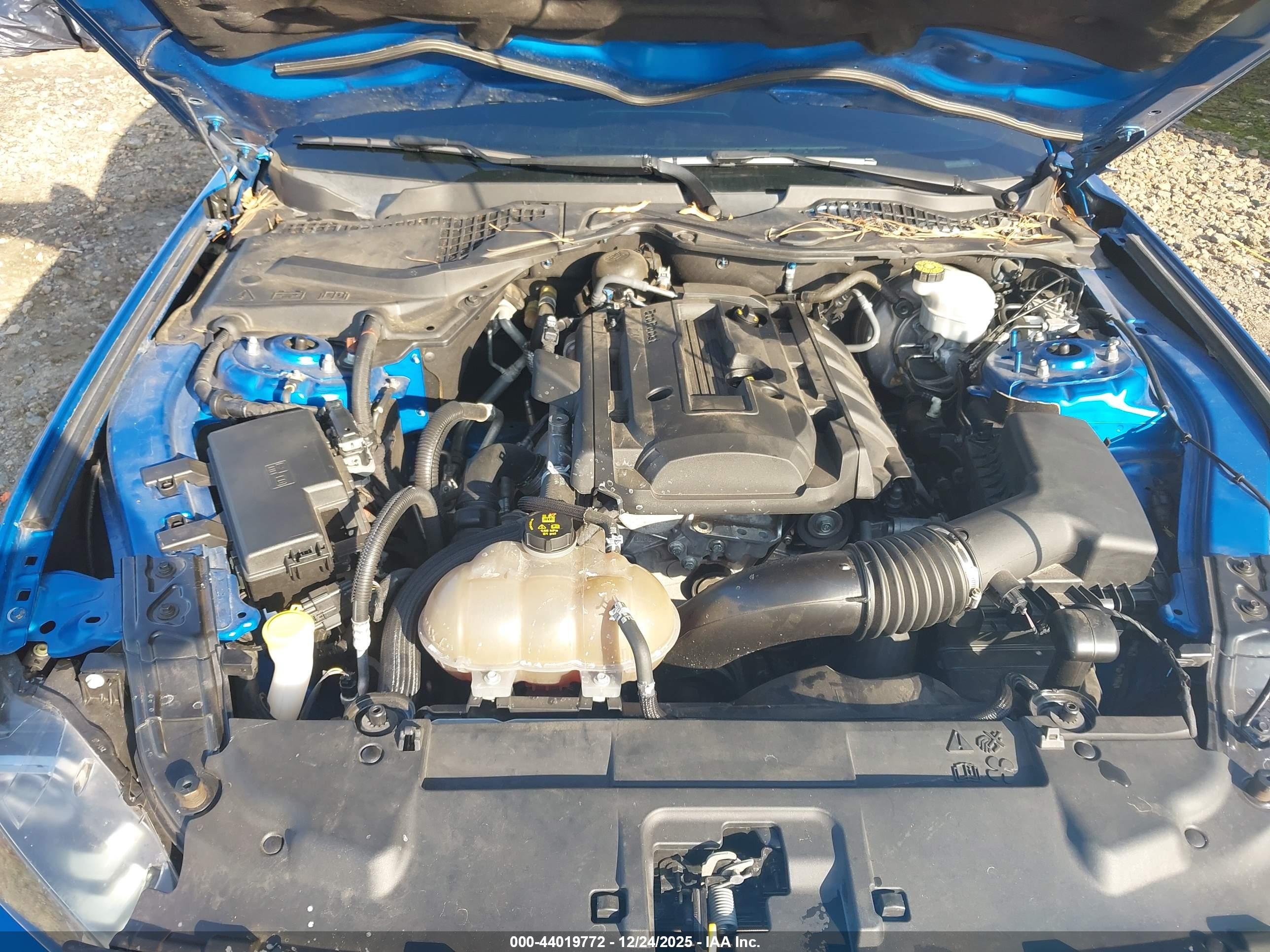 FORD MUSTANG image 10