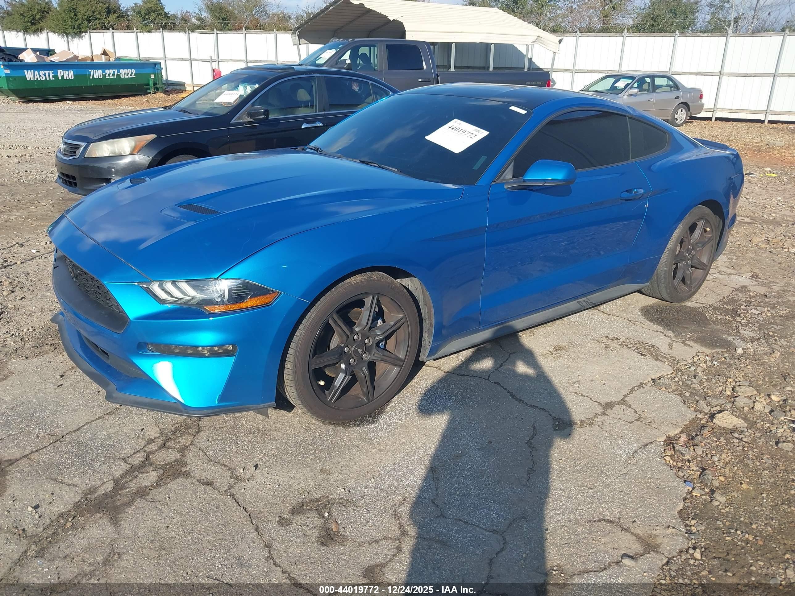 FORD MUSTANG image 2