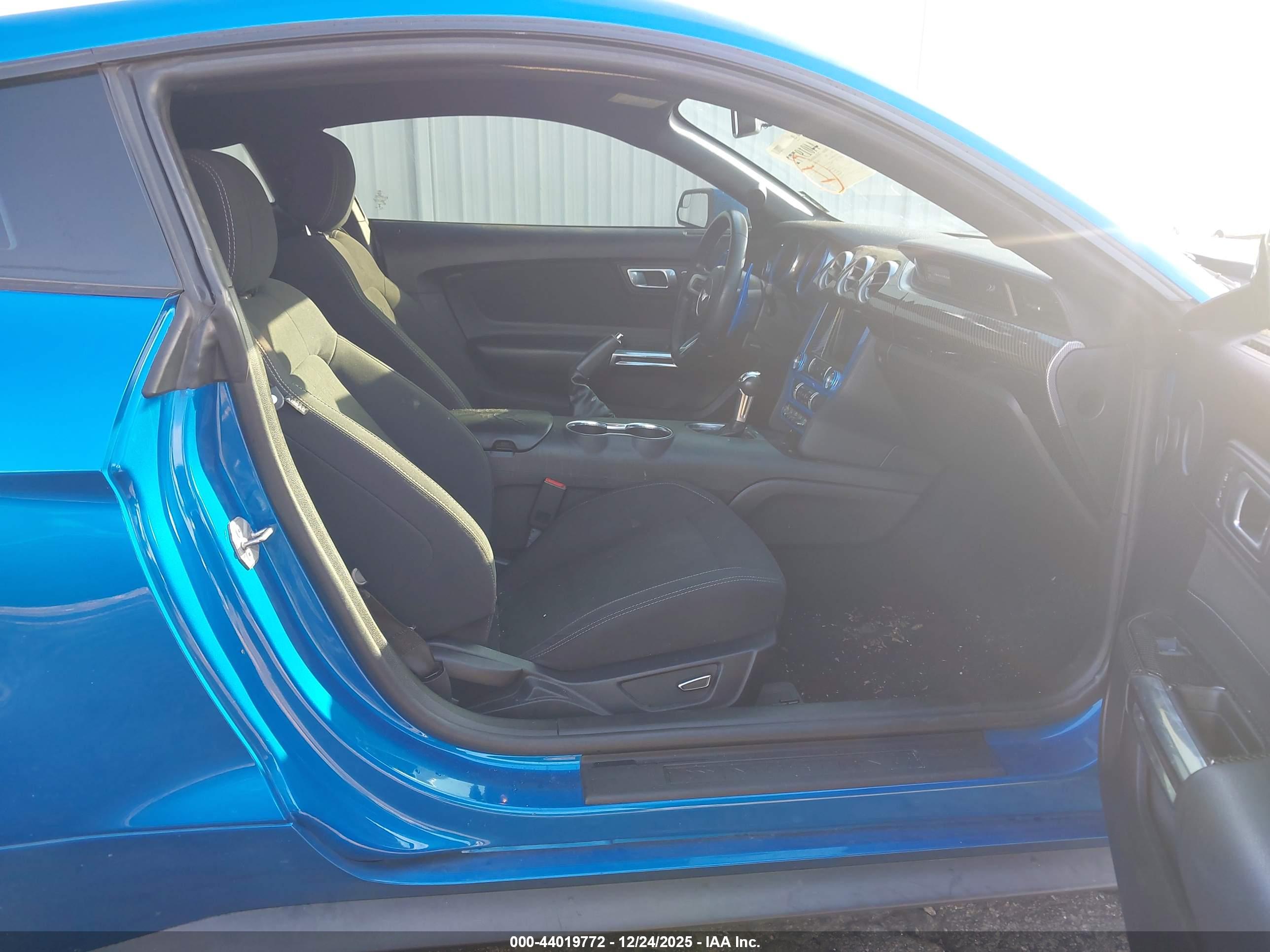 FORD MUSTANG image 5