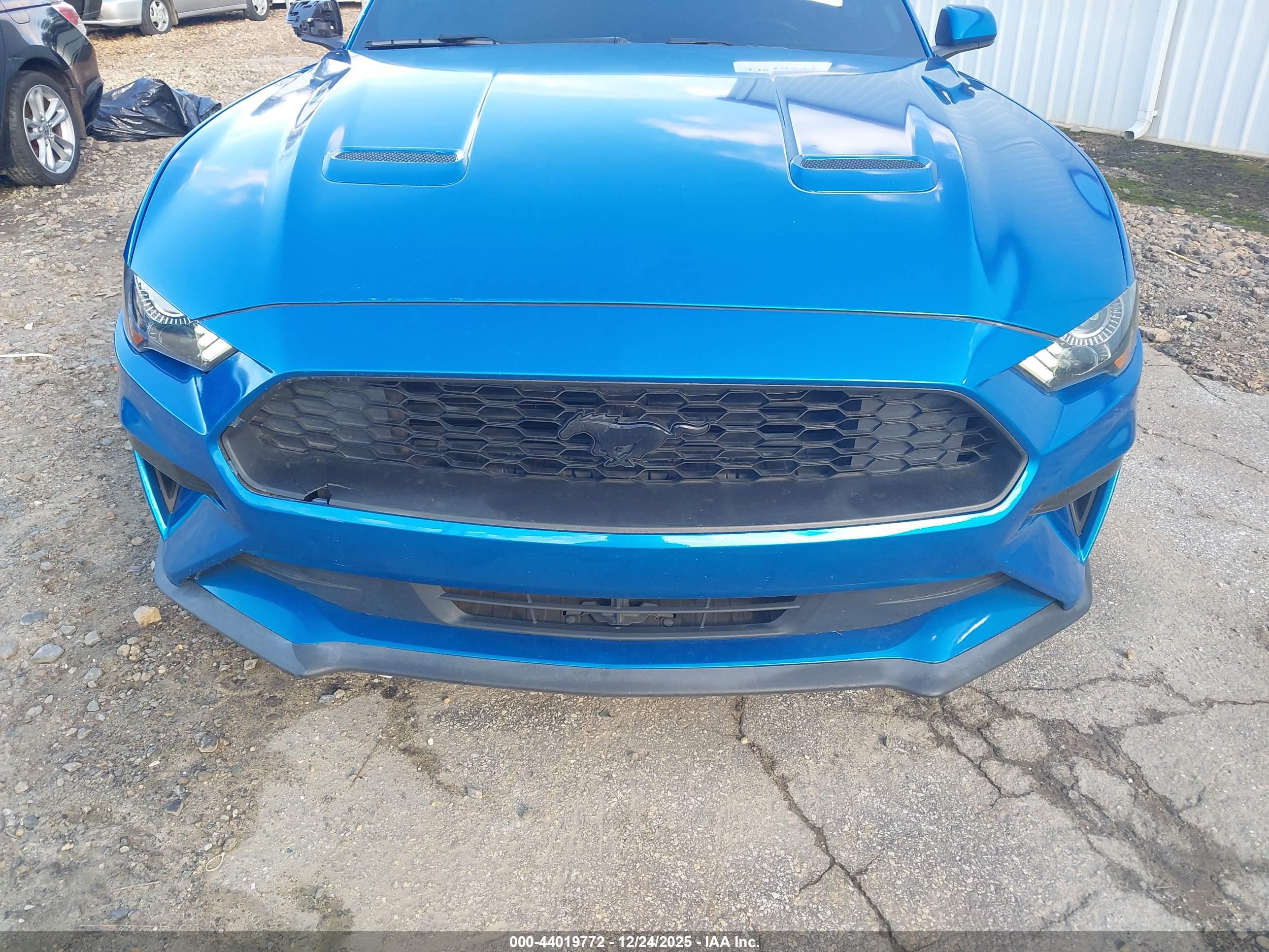 FORD MUSTANG image 6