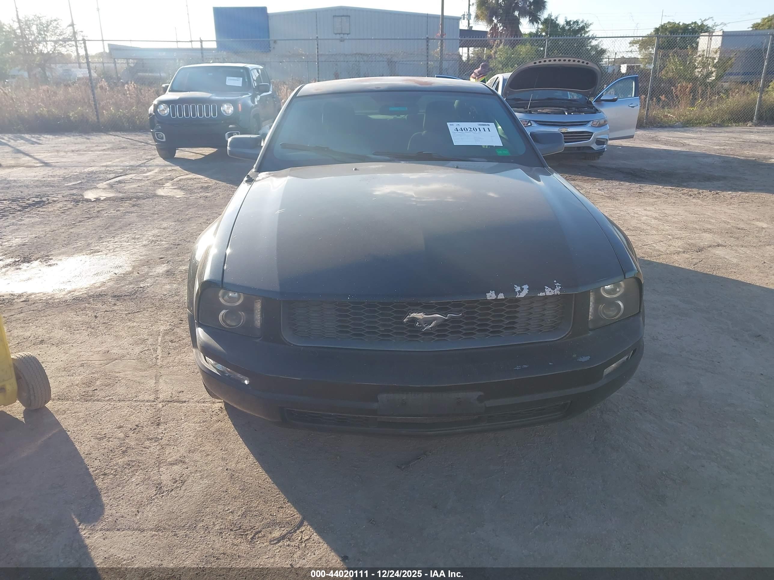 FORD MUSTANG image 6