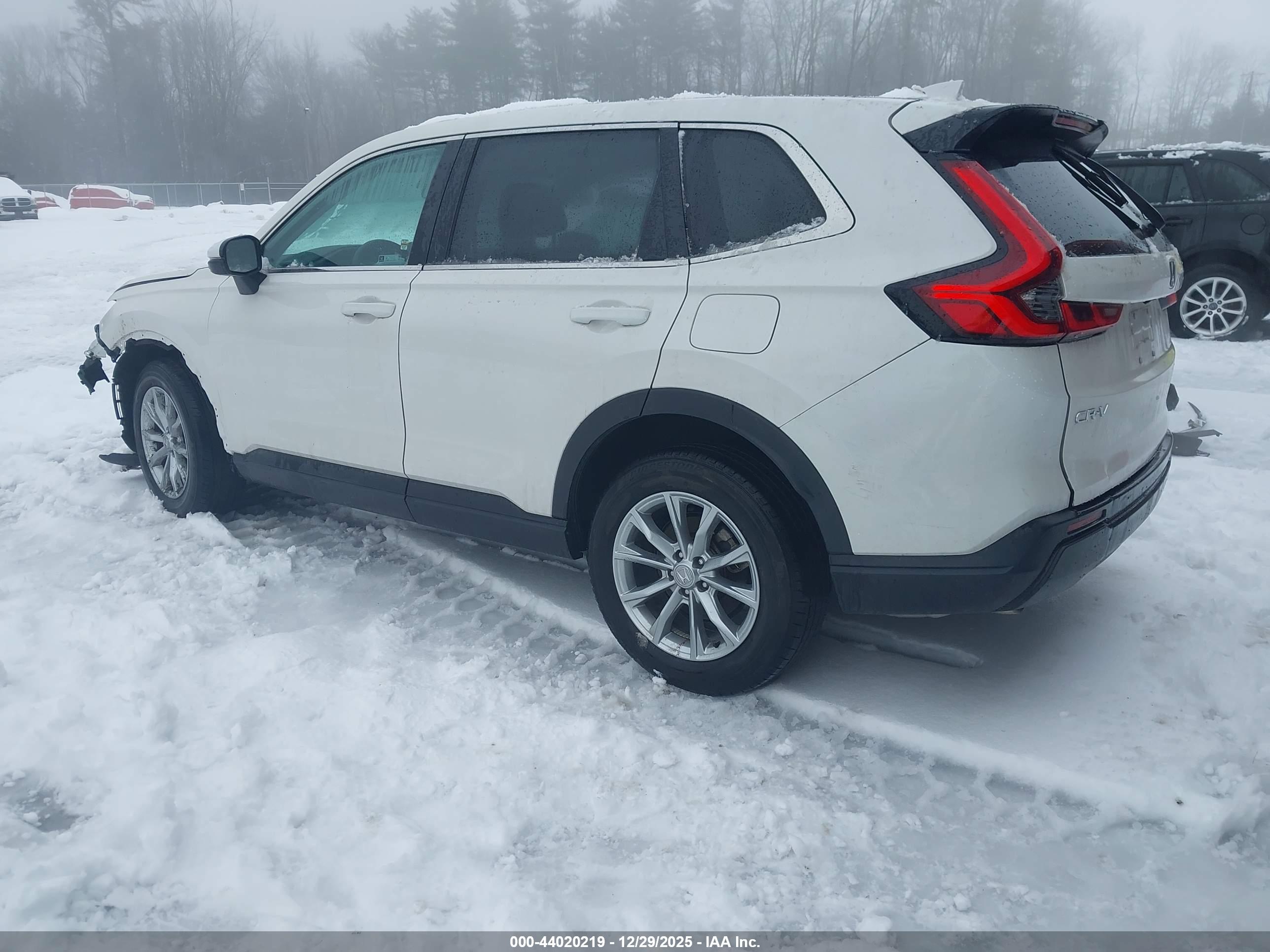 HONDA CR-V image 3