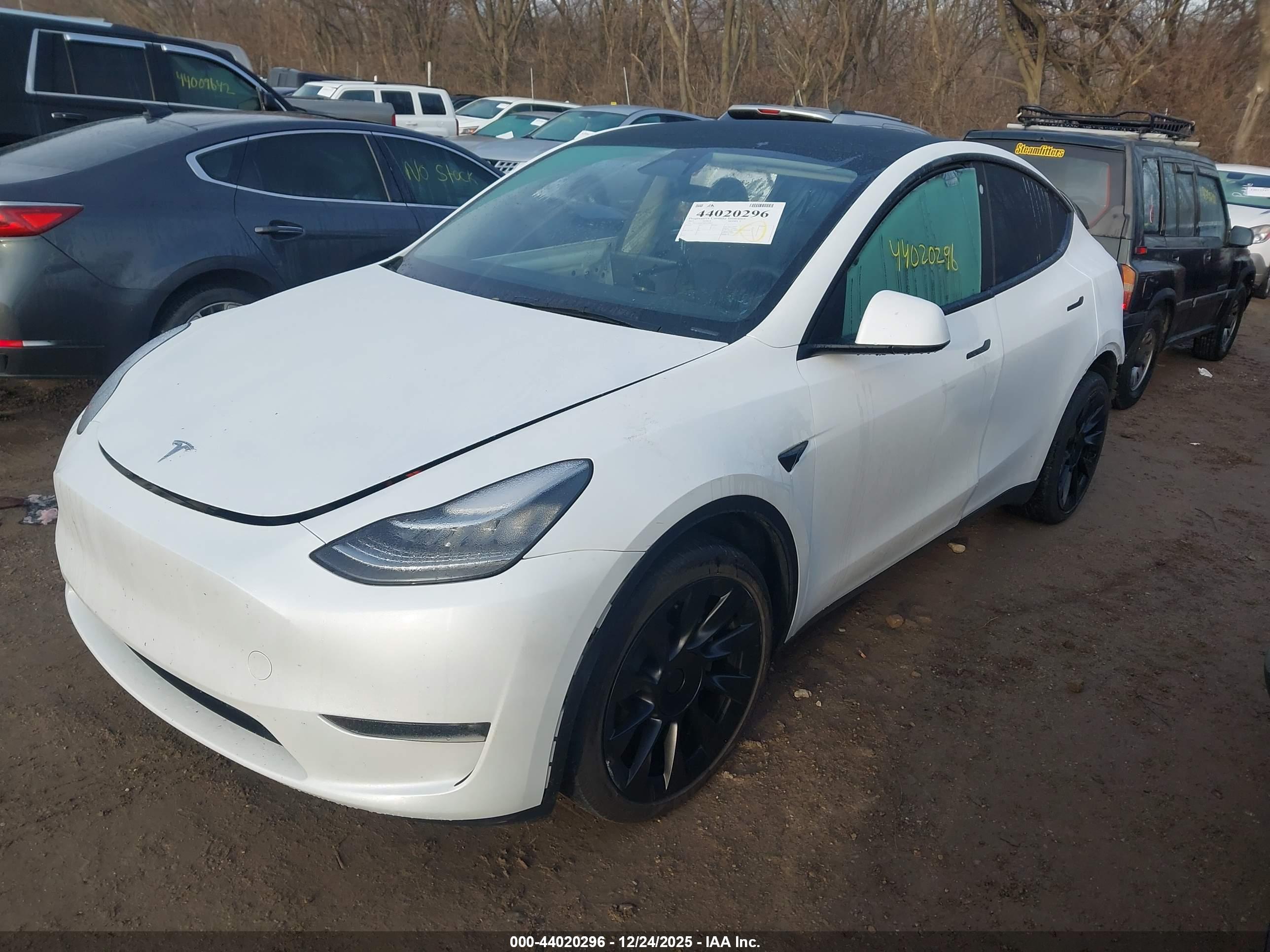 TESLA MODEL image 2