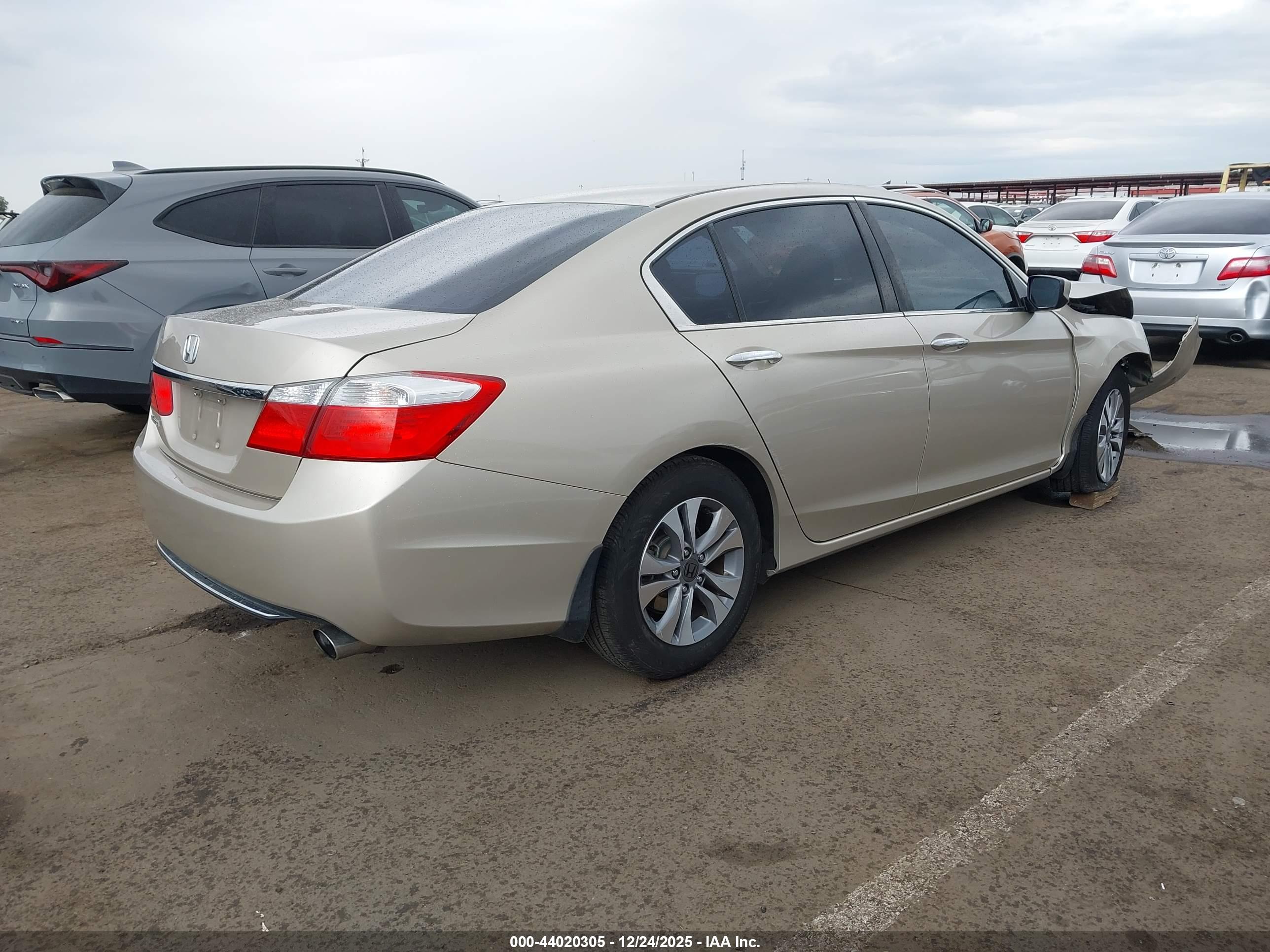 HONDA ACCORD image 4