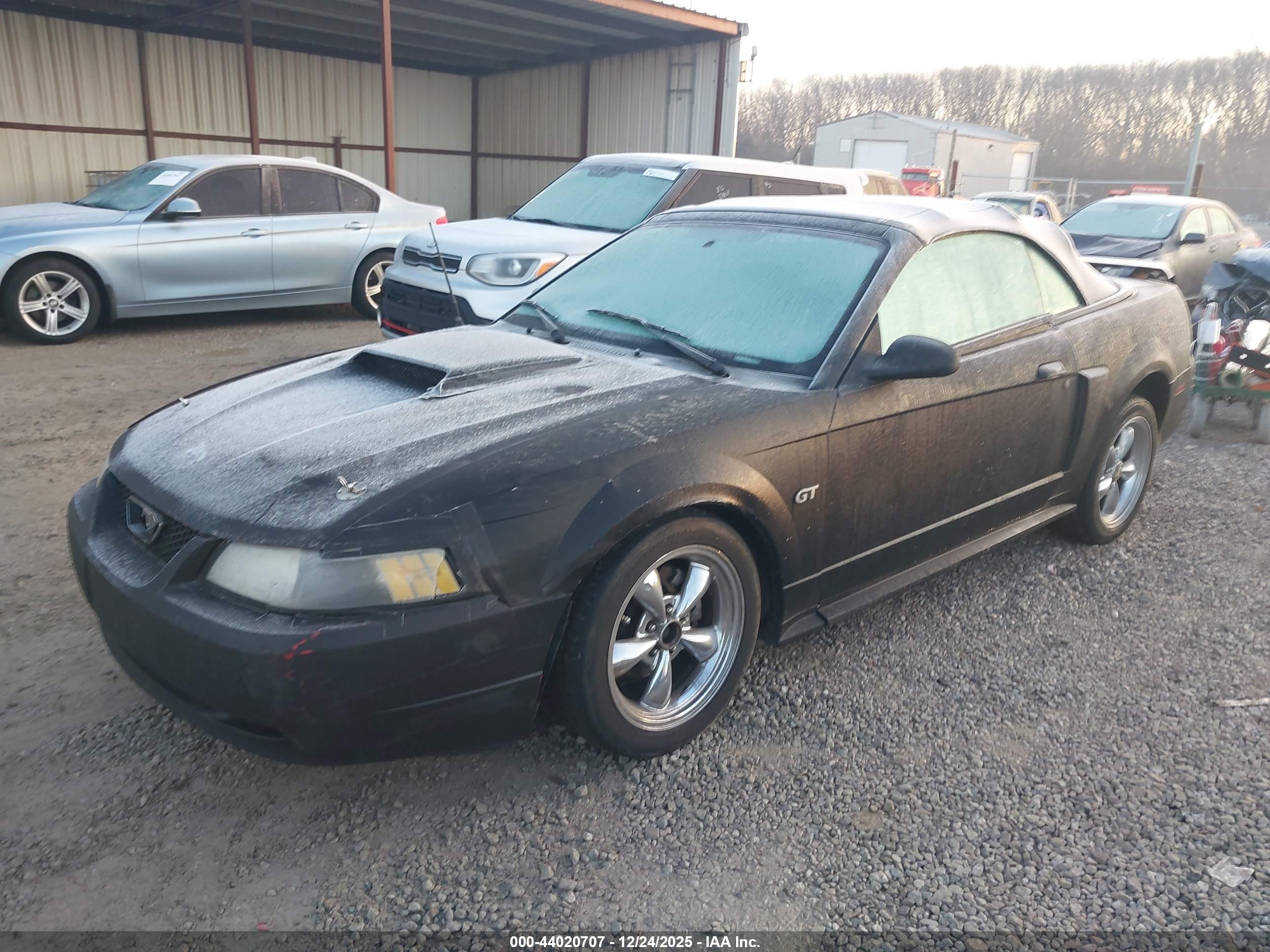 FORD MUSTANG image 2