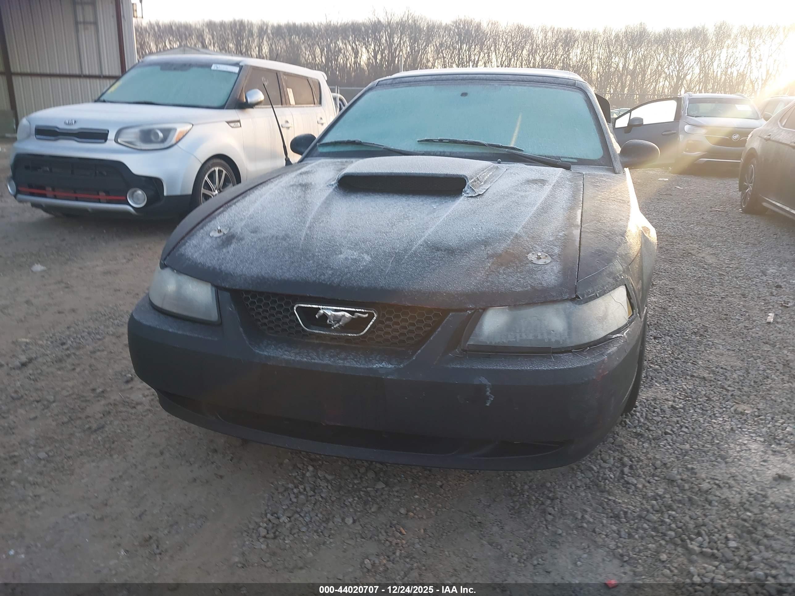 FORD MUSTANG image 6