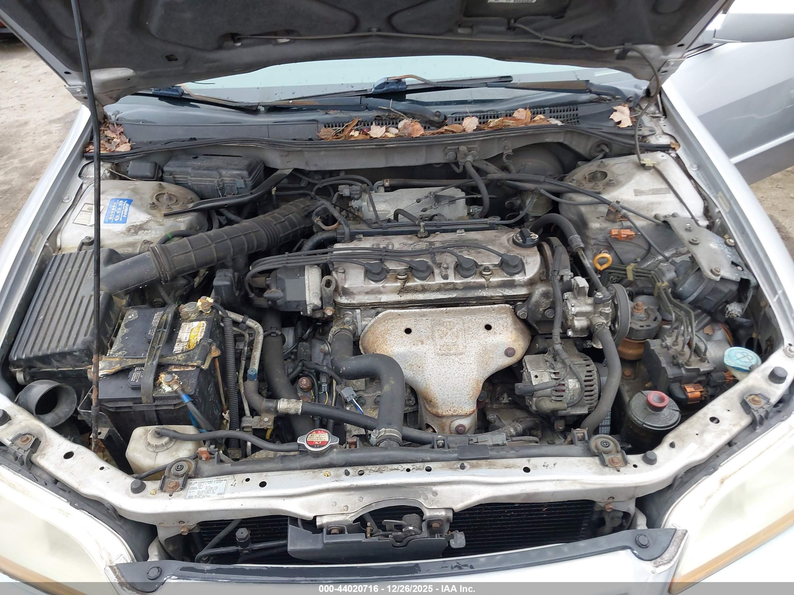 HONDA ACCORD image 10